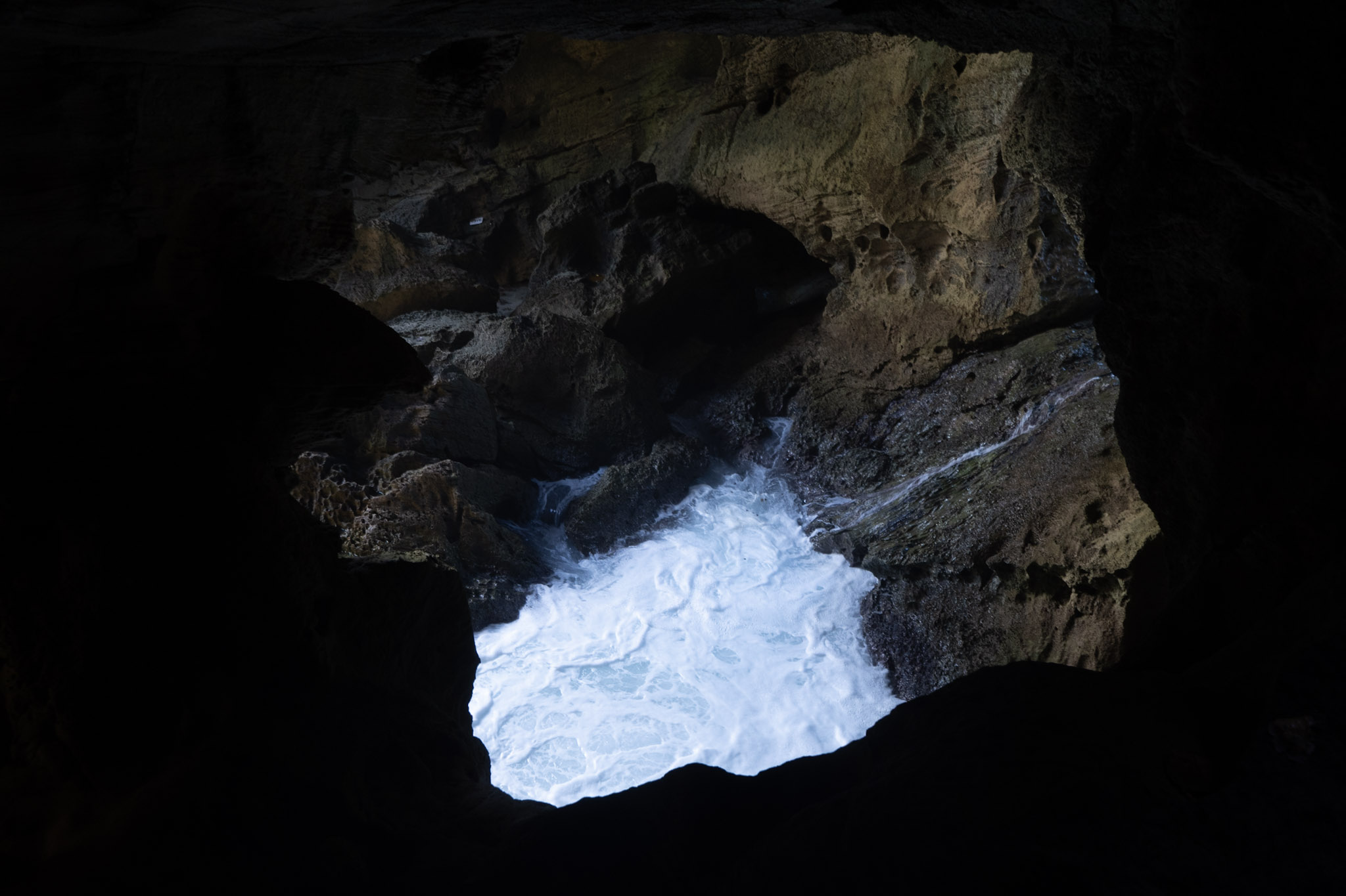 Arecibo - foto 181