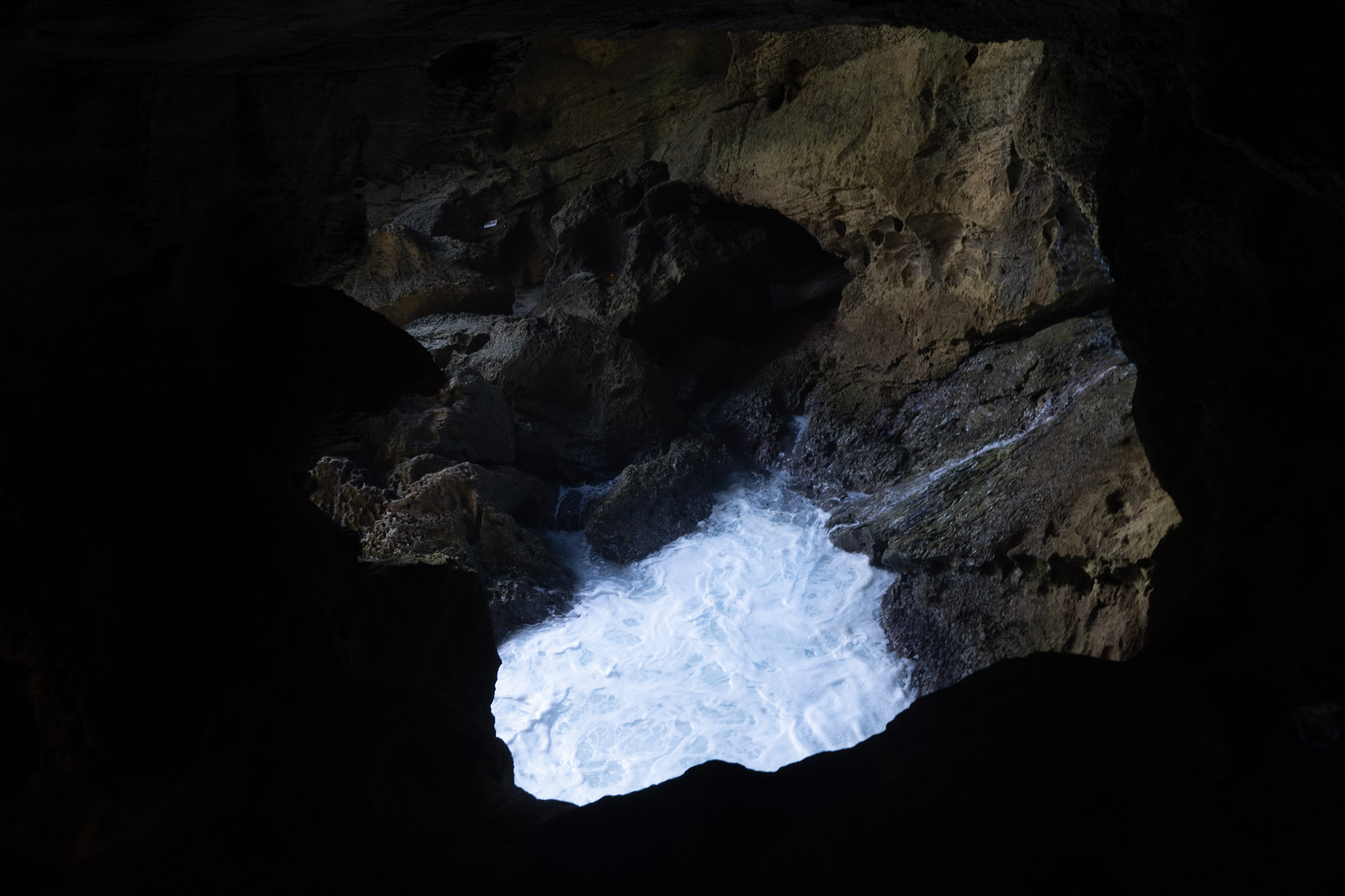 Arecibo - foto 182