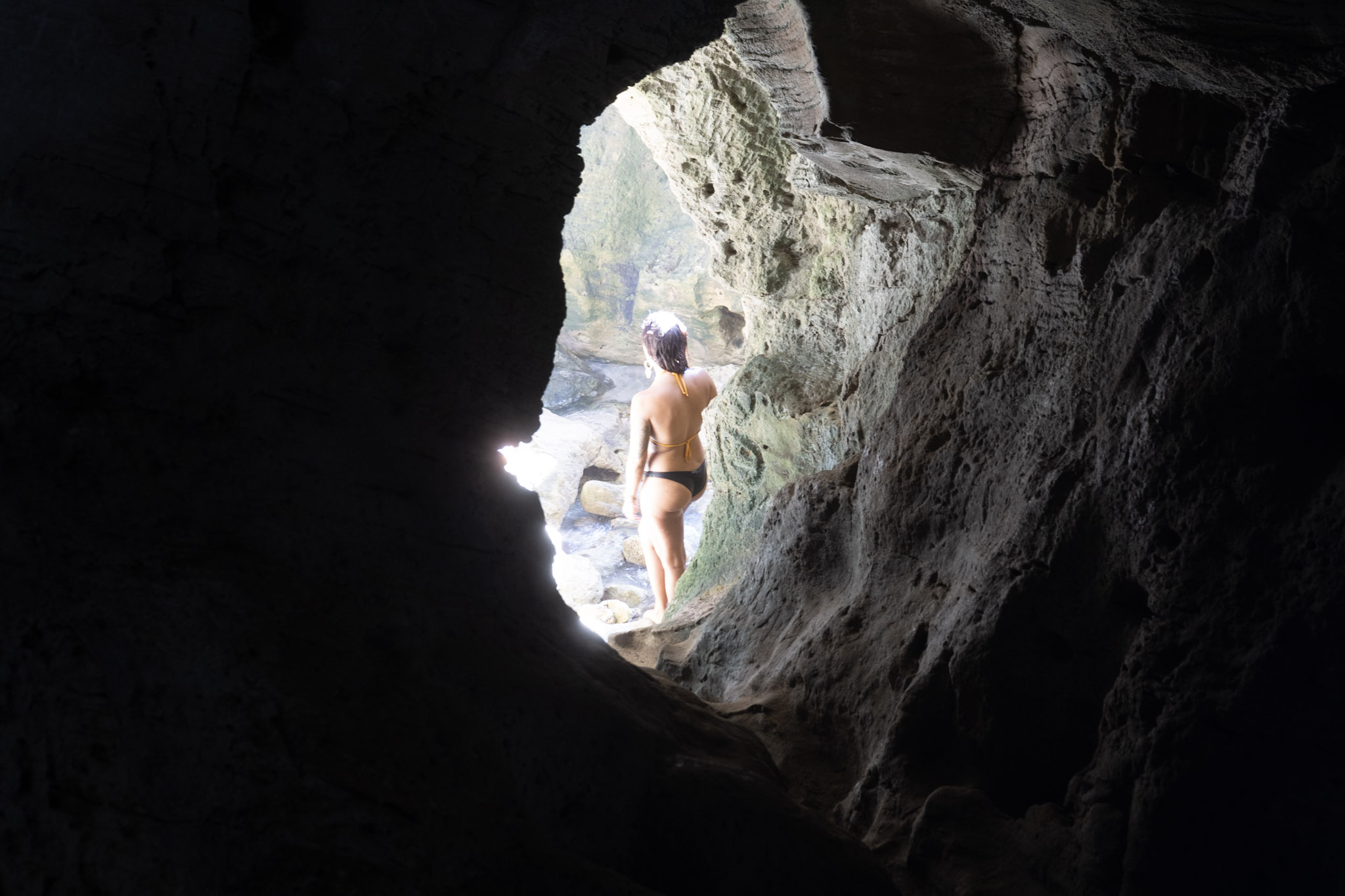 Arecibo - foto 184