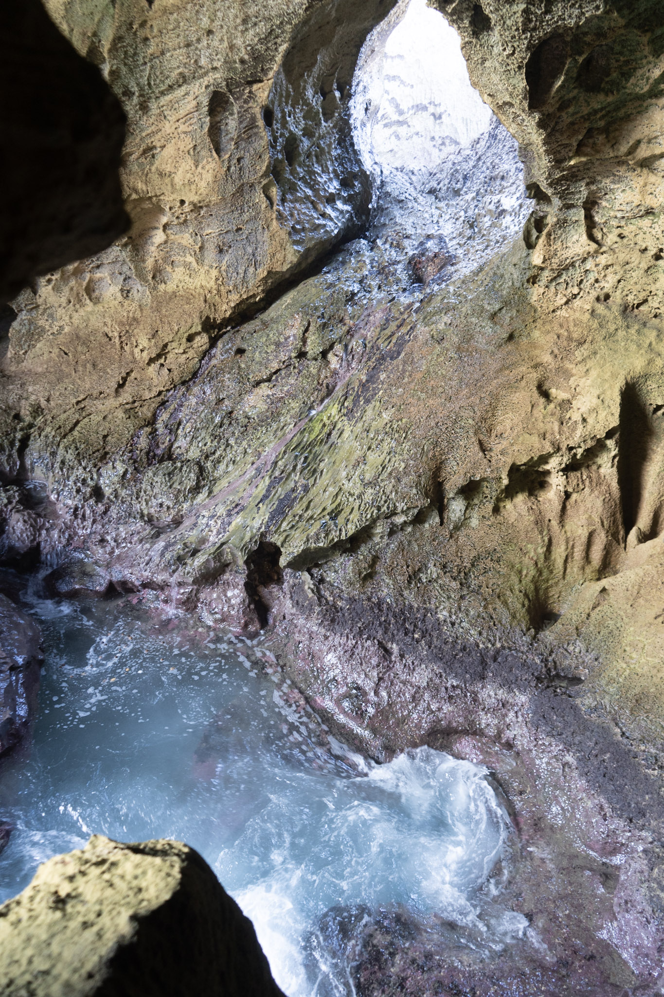 Arecibo - foto 199