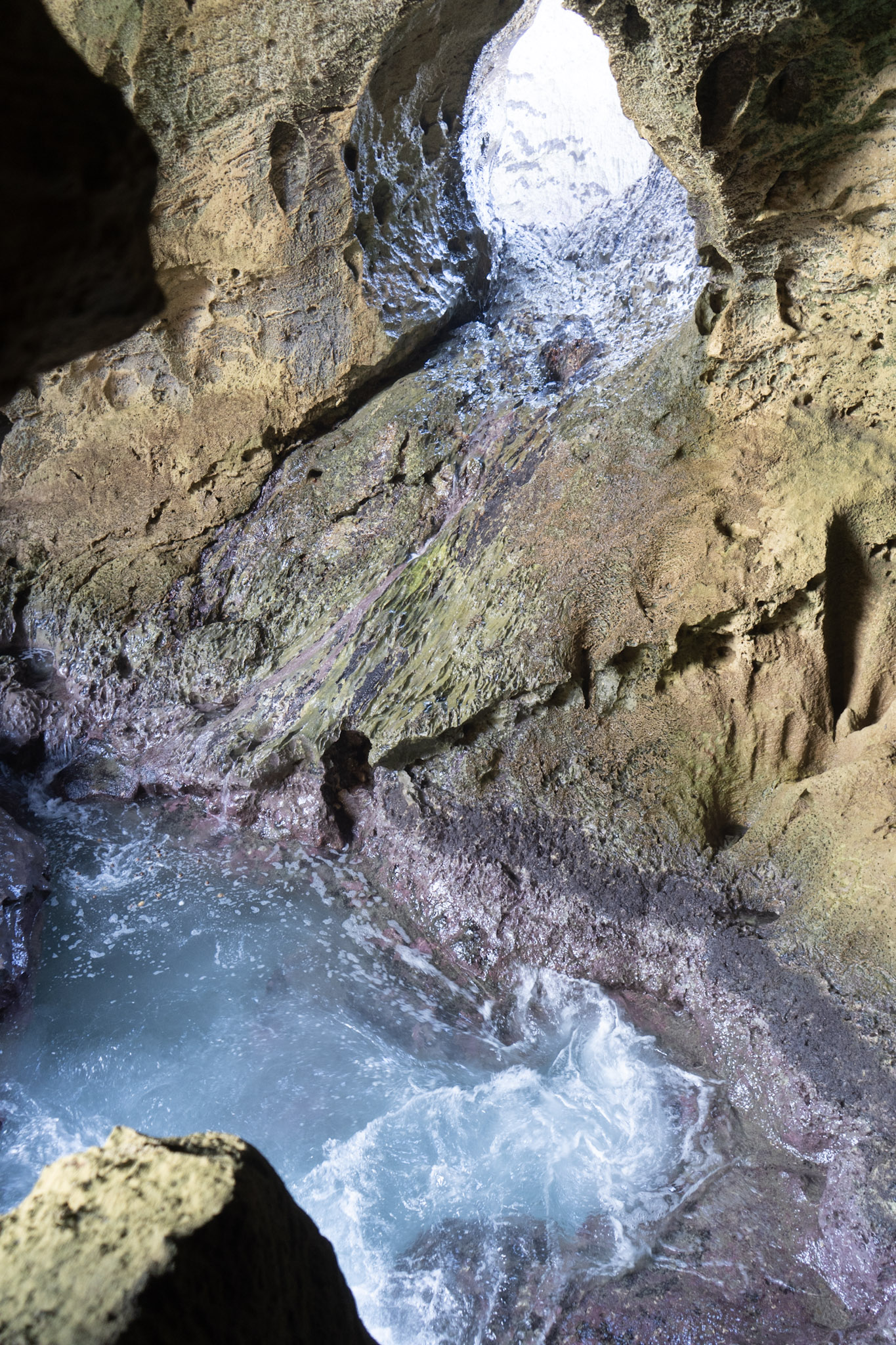 Arecibo - foto 200