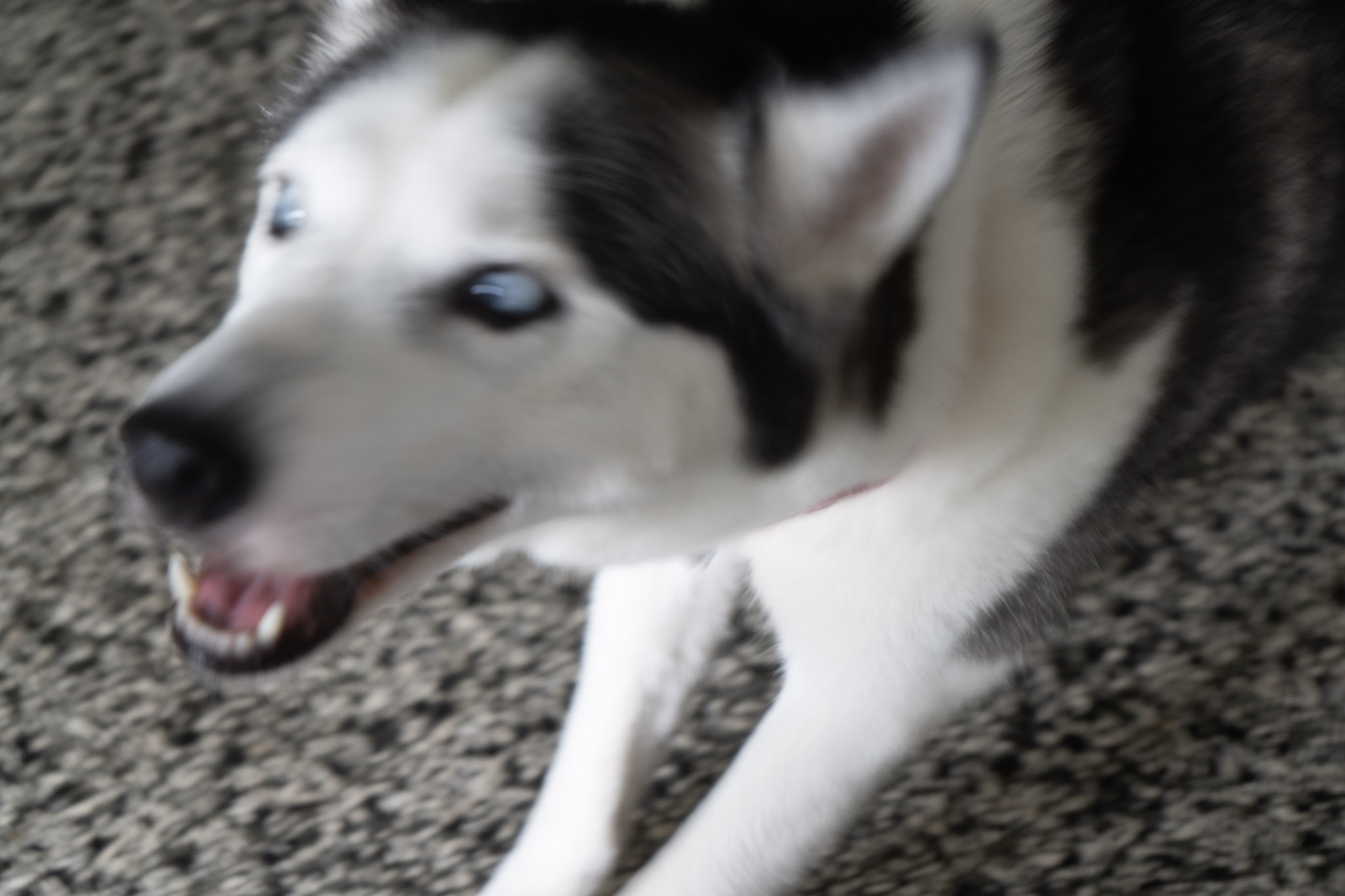 2021-01-02_Guaynabo - foto 3