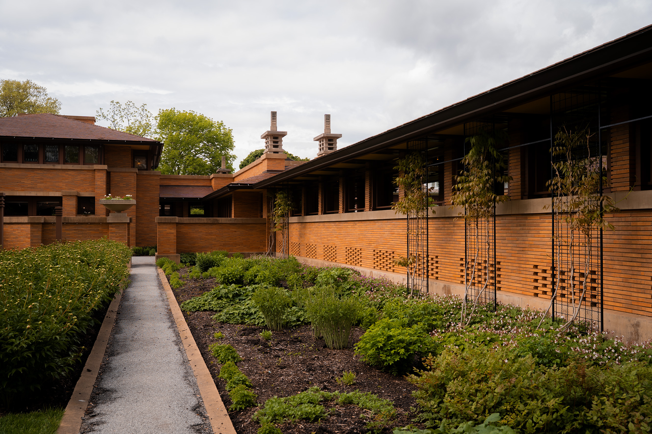 Martin House