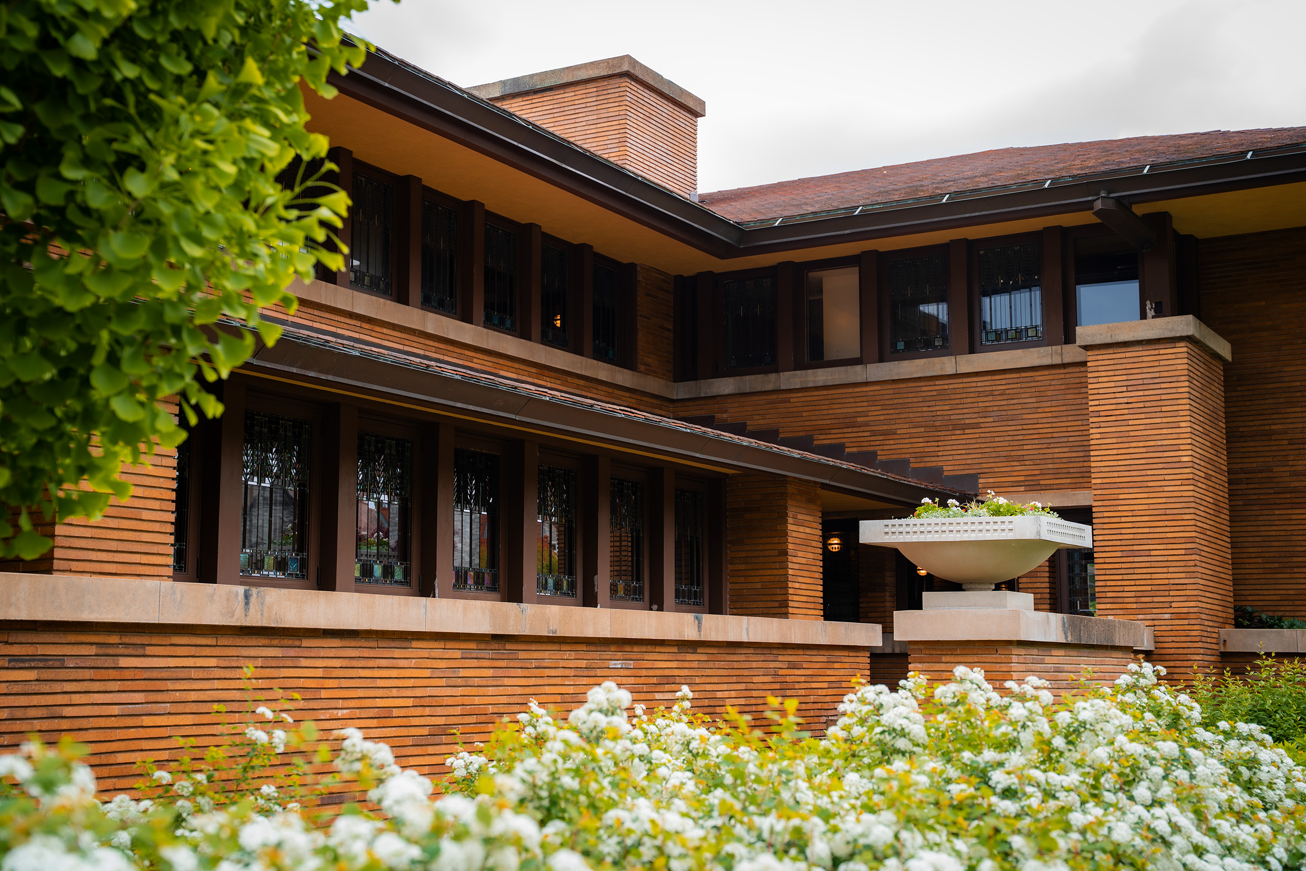 Martin House