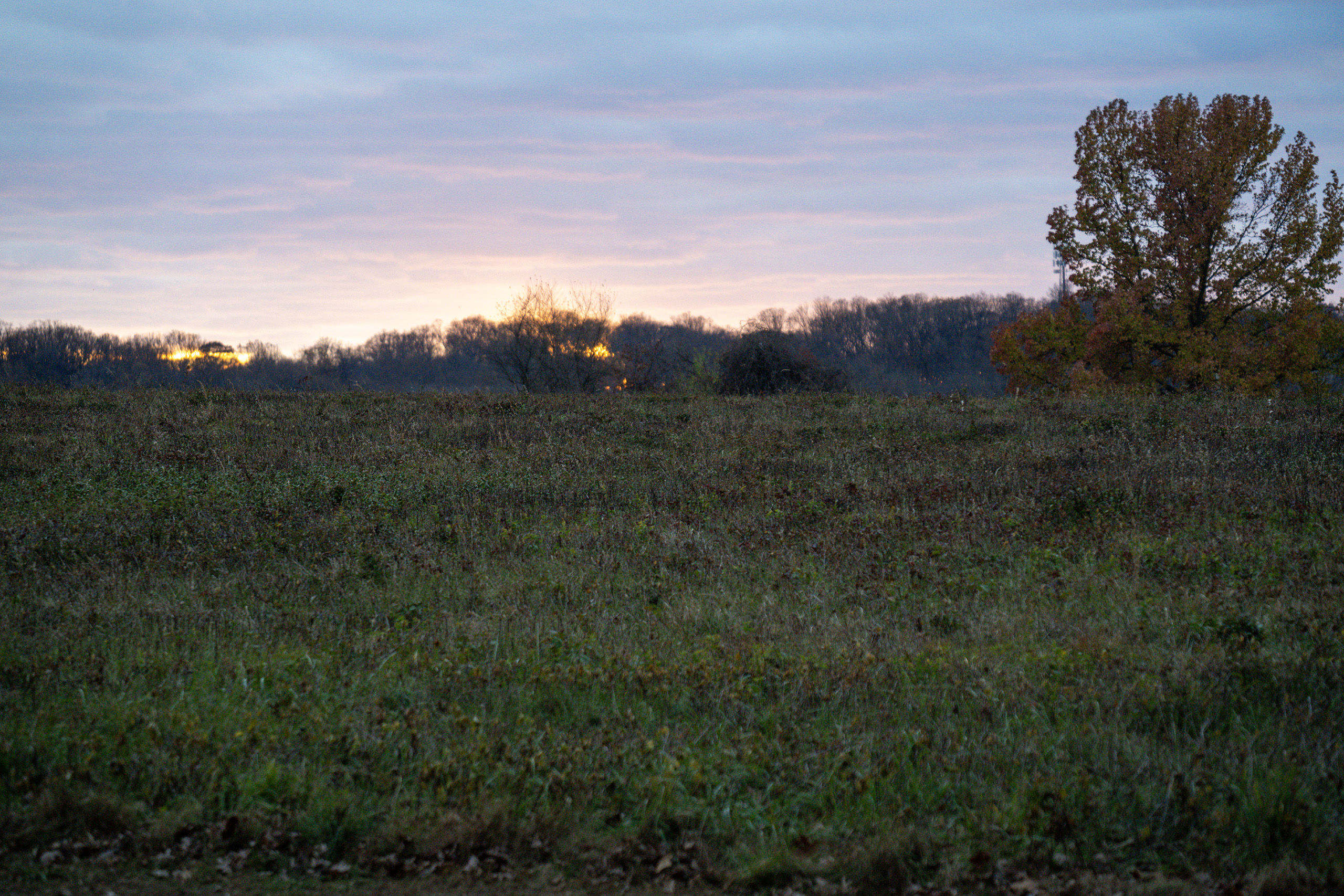 Philadelphia Brandywine Park · Noviembre 2021