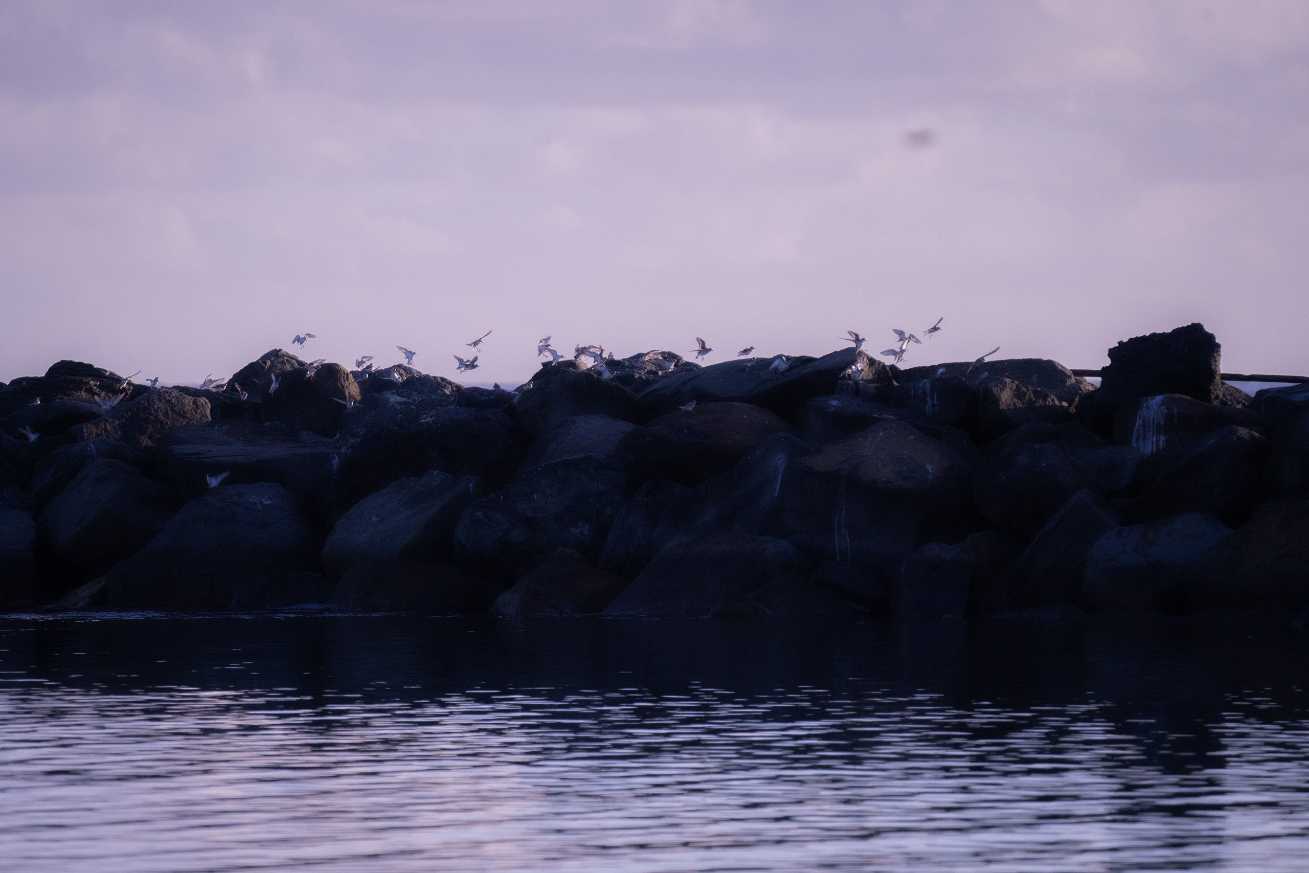 Isla de Cabras