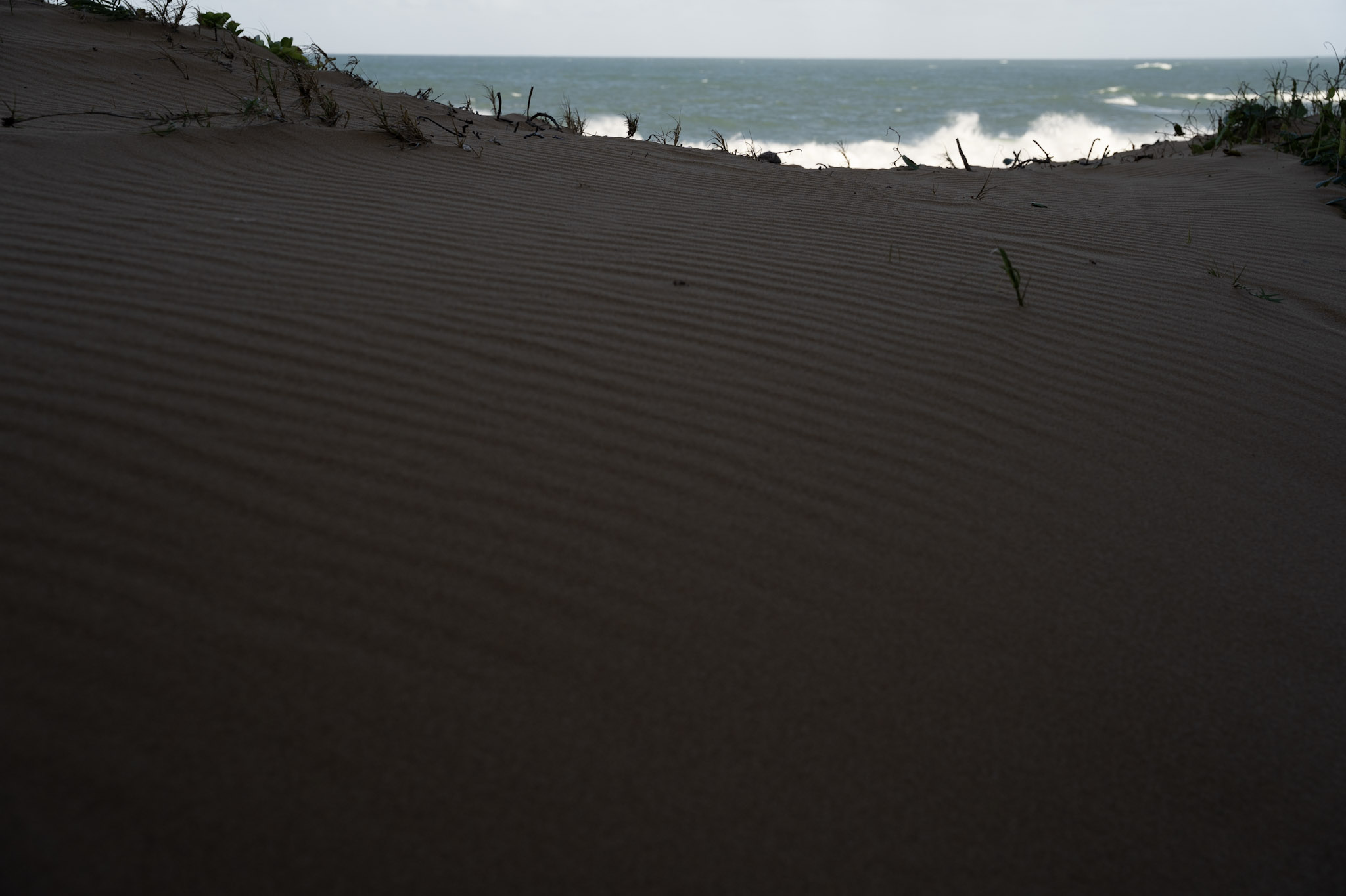 2021-12-19_Loiza - foto 3