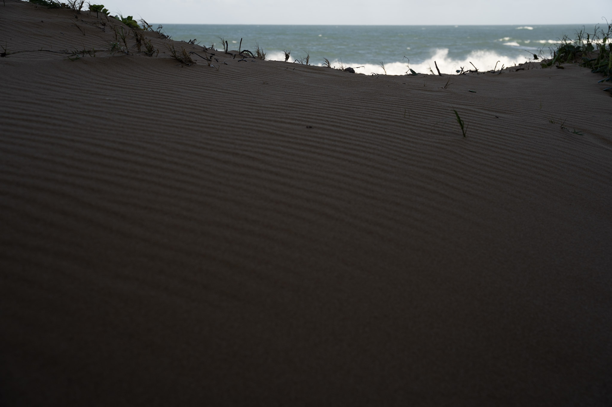 2021-12-19_Loiza - foto 4