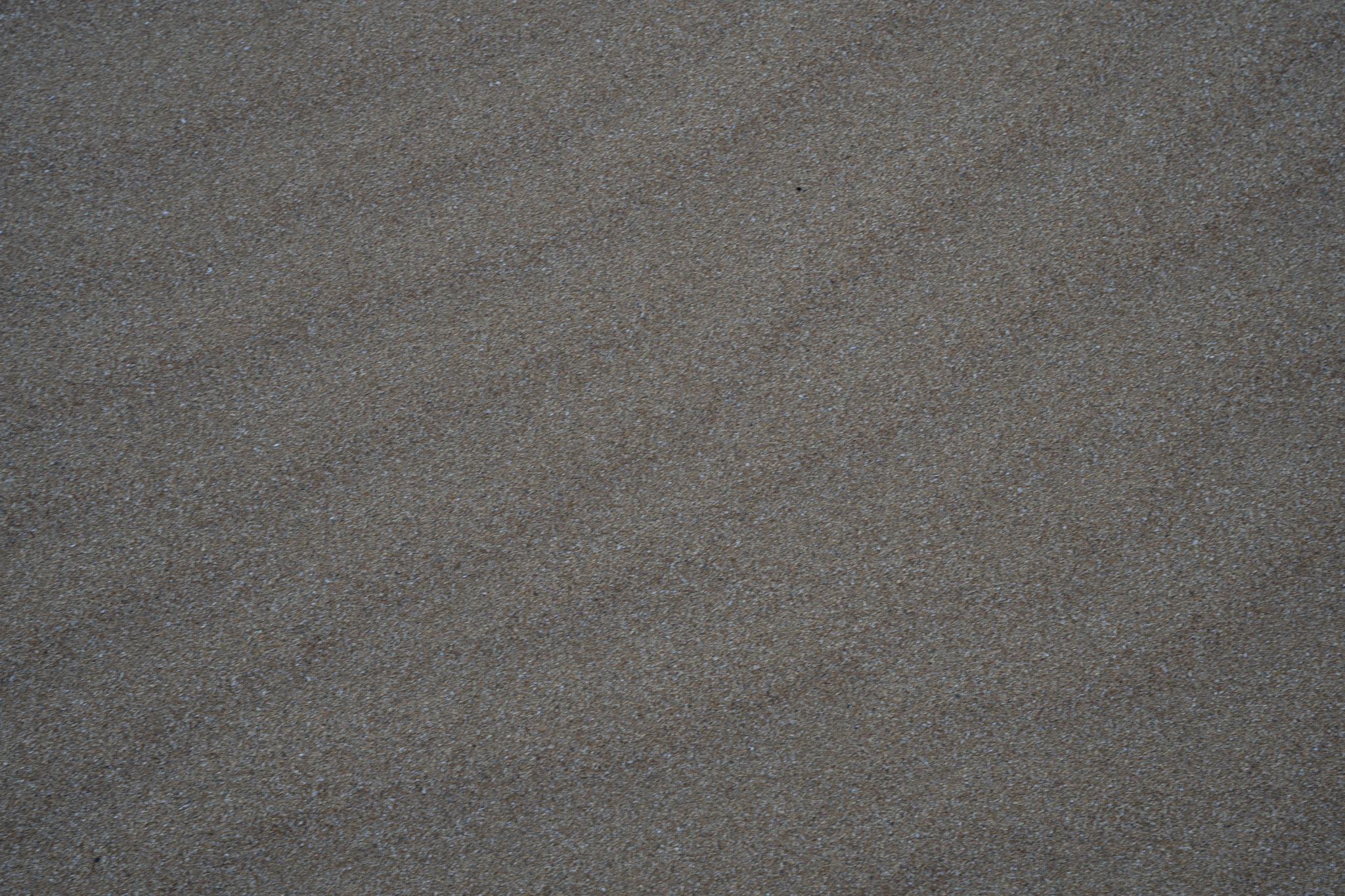 2021-12-19_Loiza - foto 51