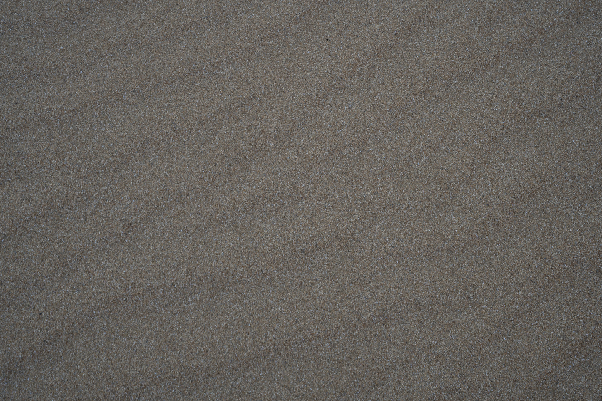 2021-12-19_Loiza - foto 52