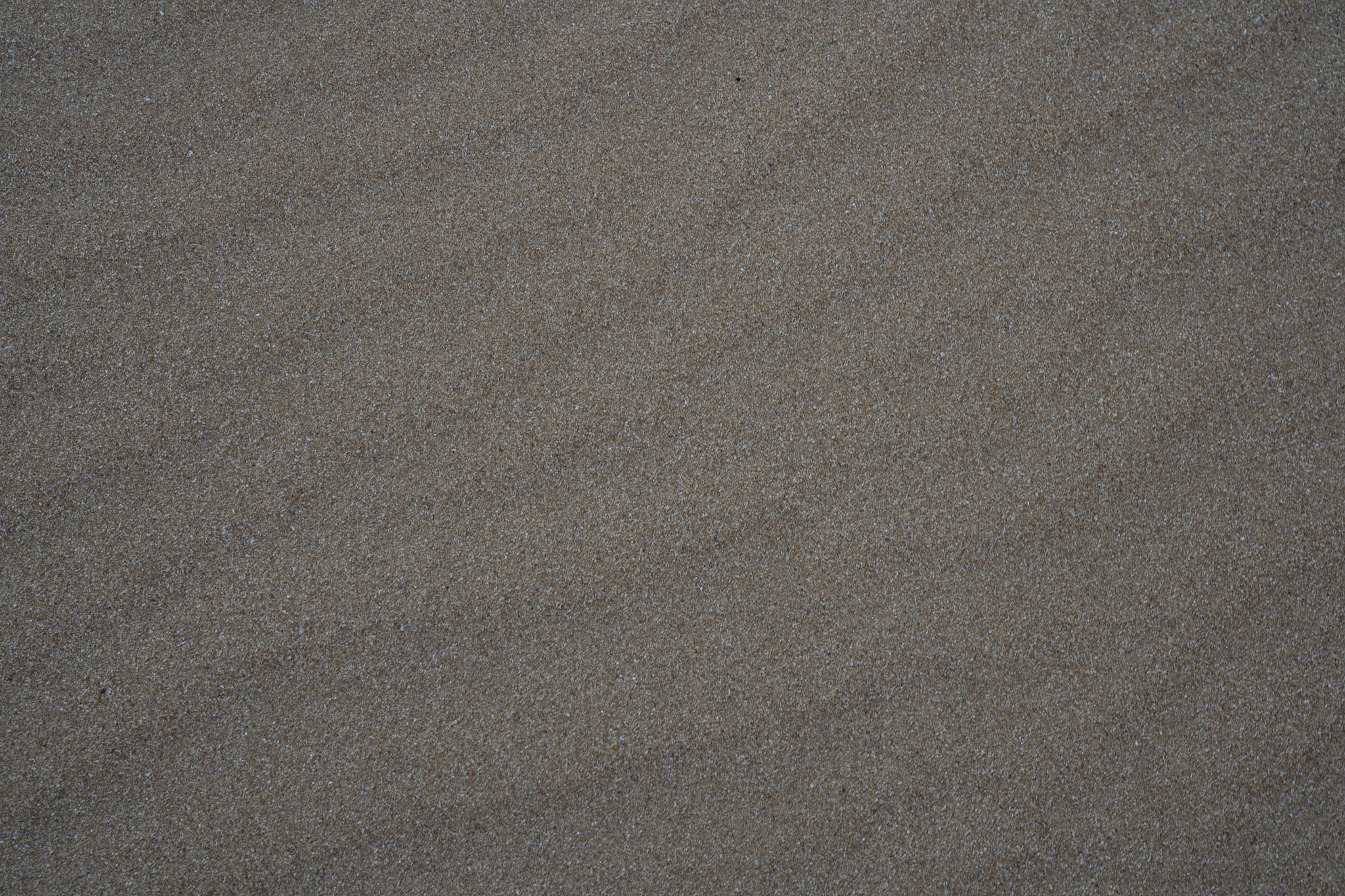 2021-12-19_Loiza - foto 53