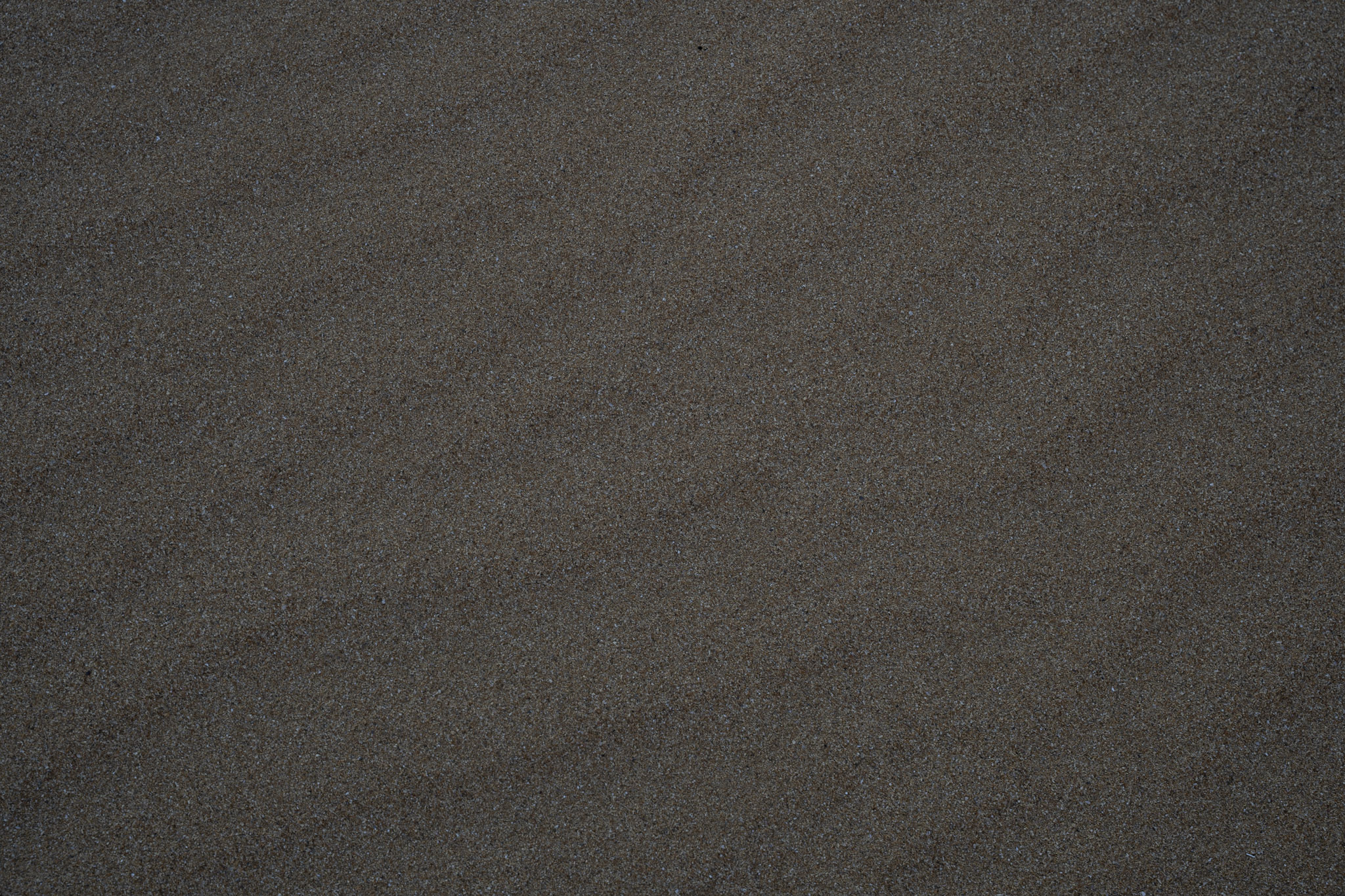 2021-12-19_Loiza - foto 54