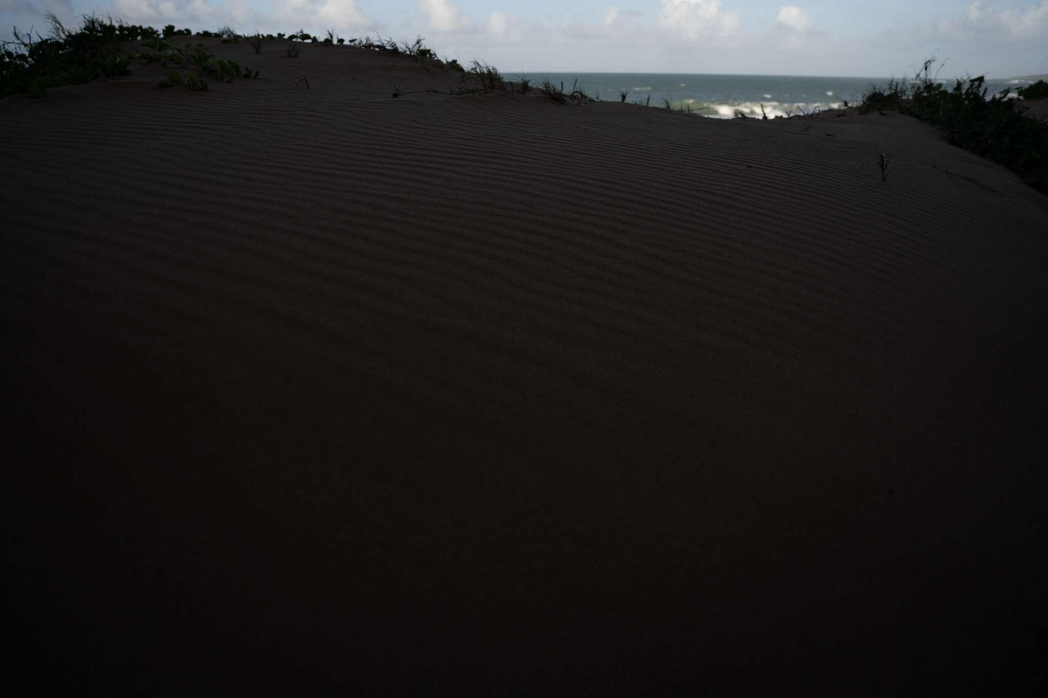 Loiza - foto 2