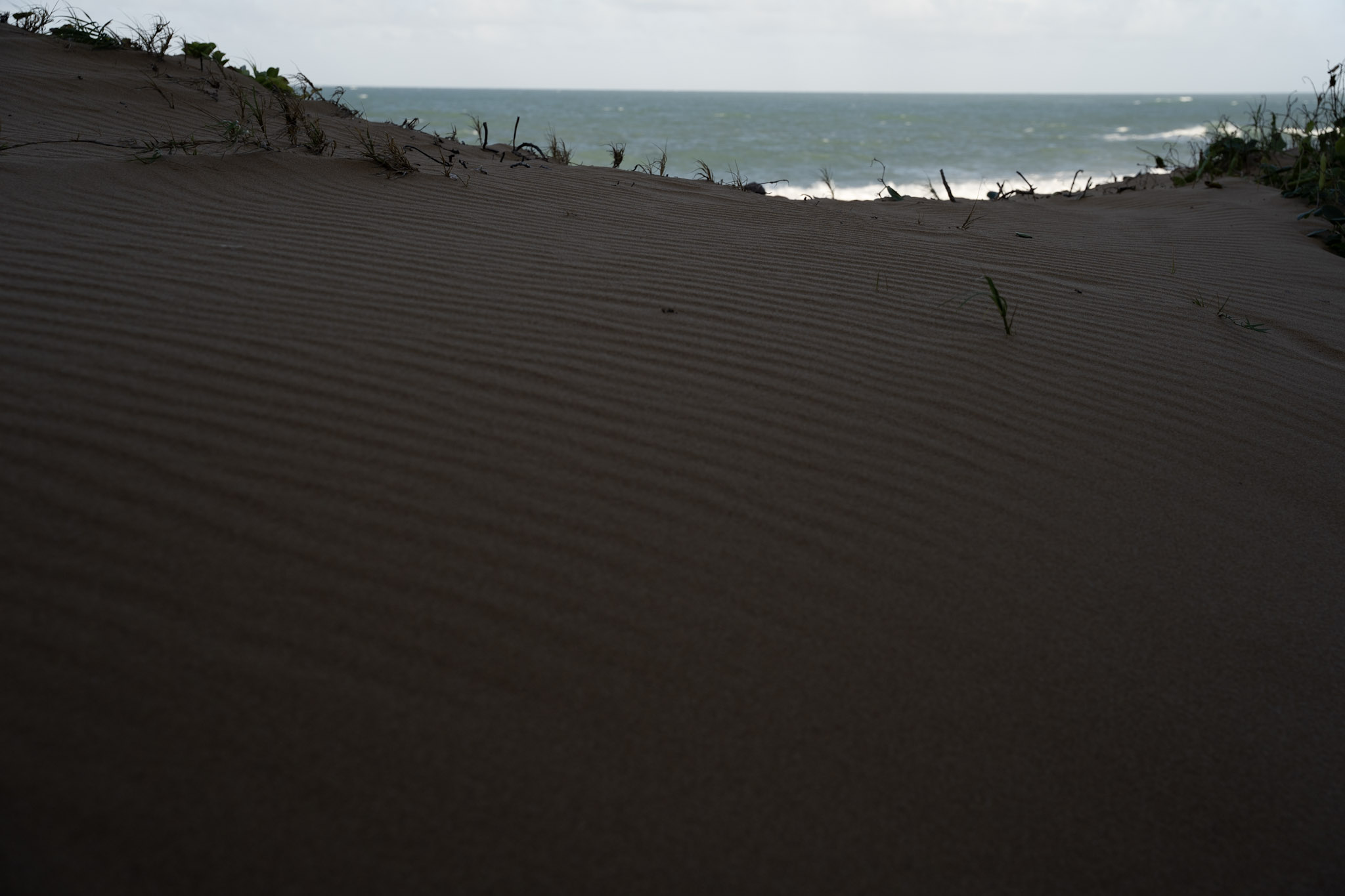 Loiza - foto 5