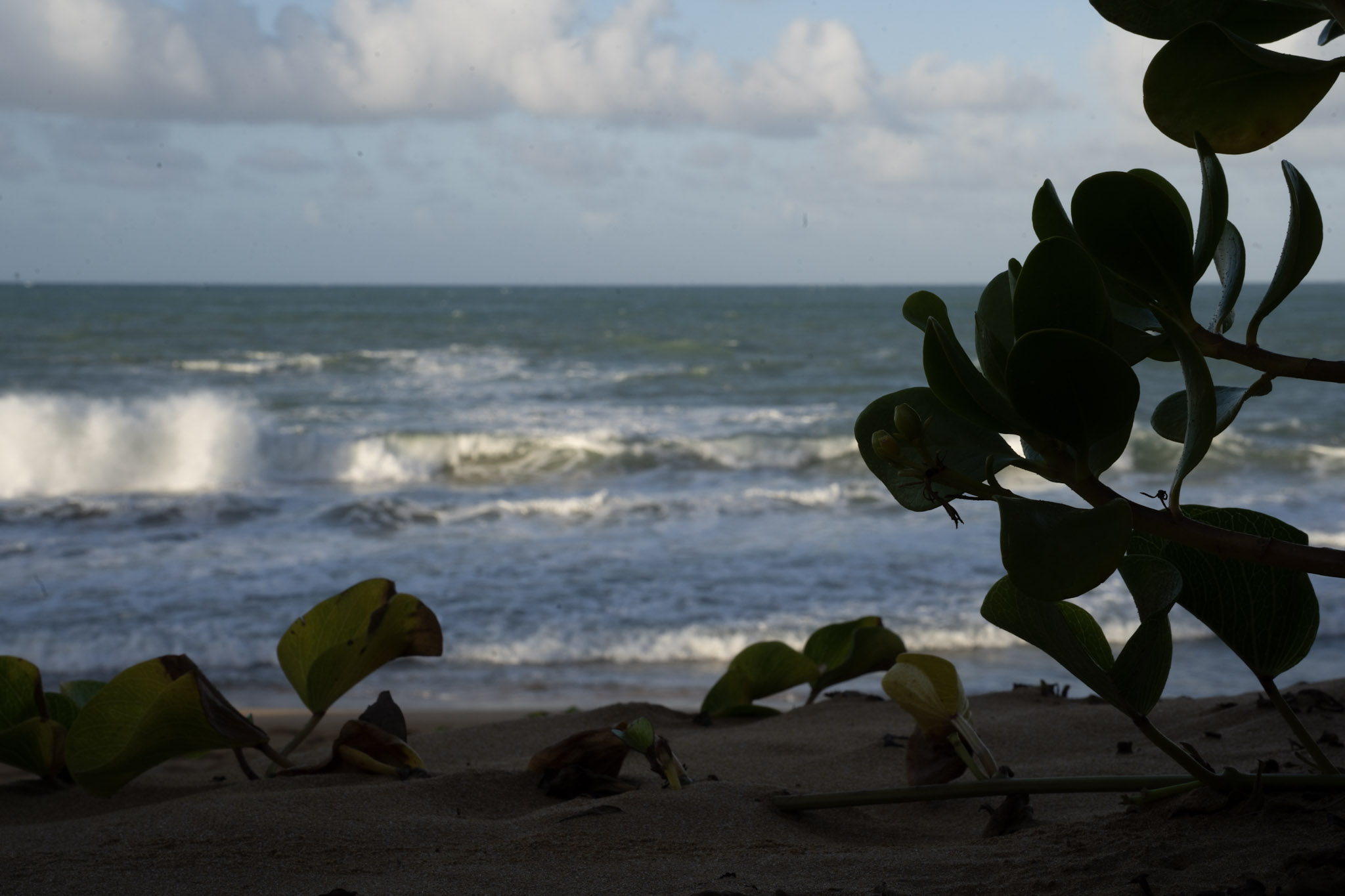 Loiza - foto 38