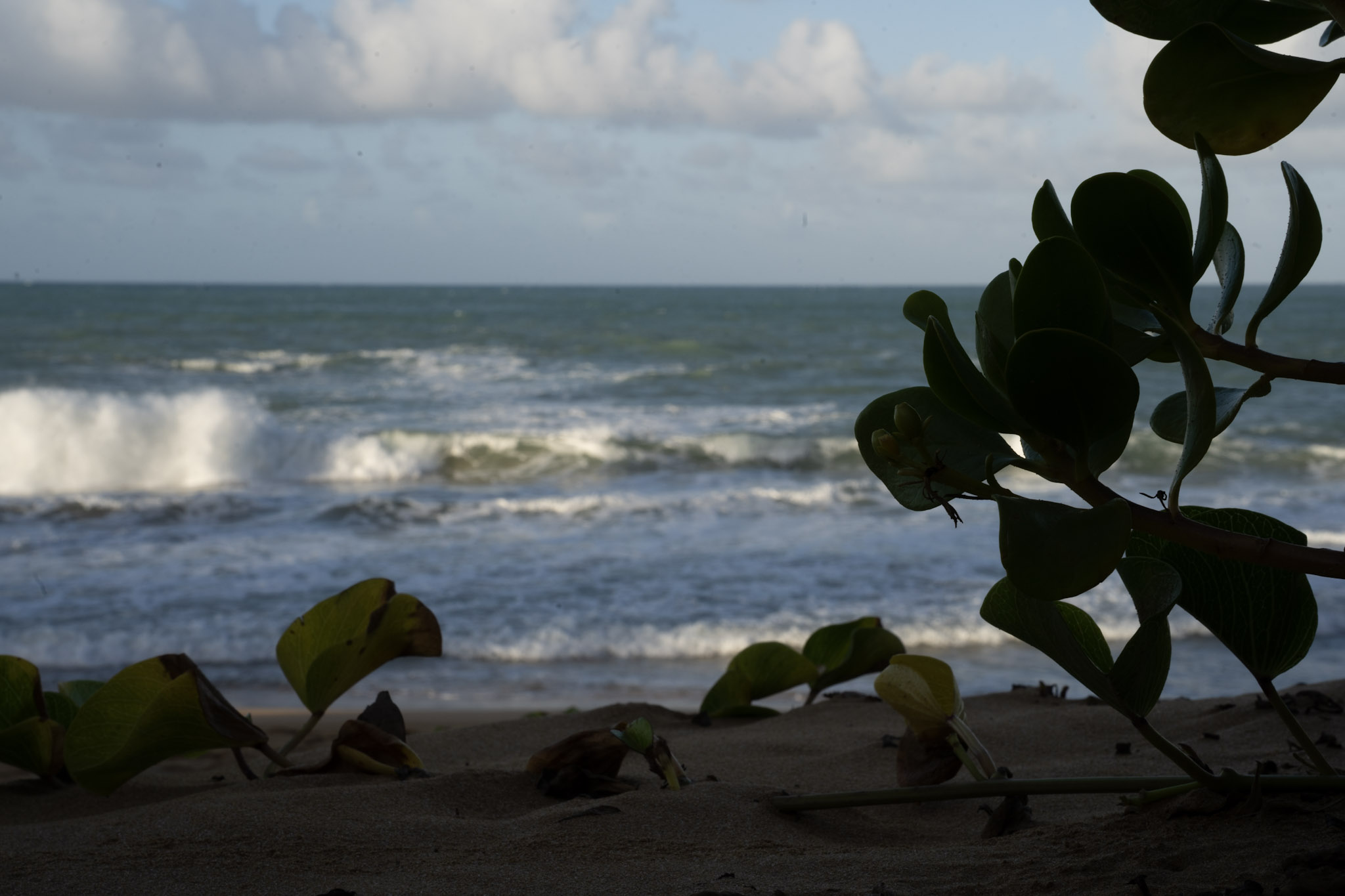 Loiza - foto 39