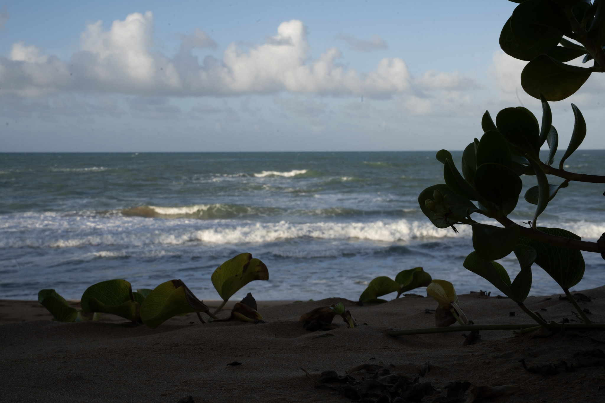 Loiza - foto 40