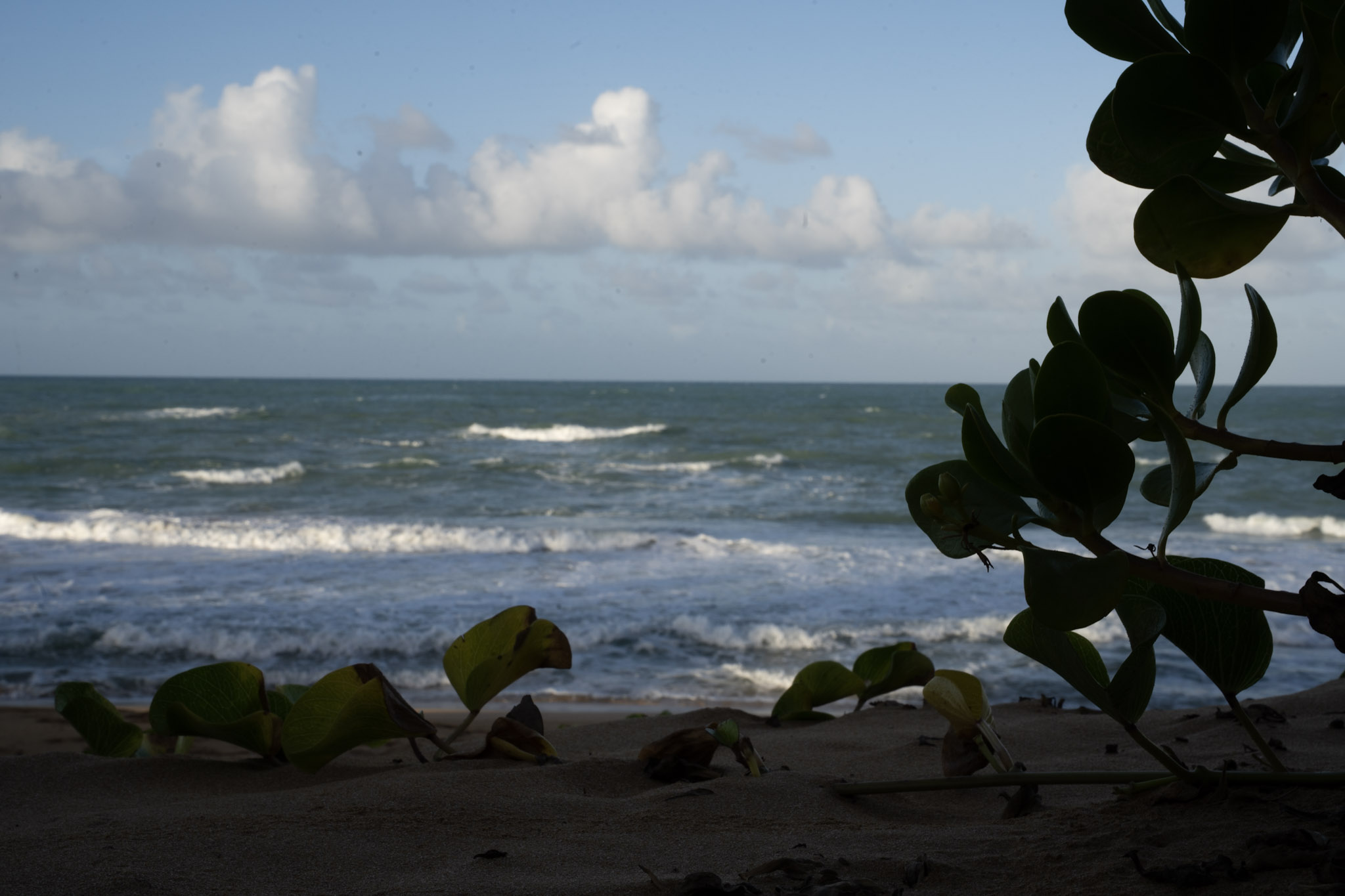 Loiza - foto 42