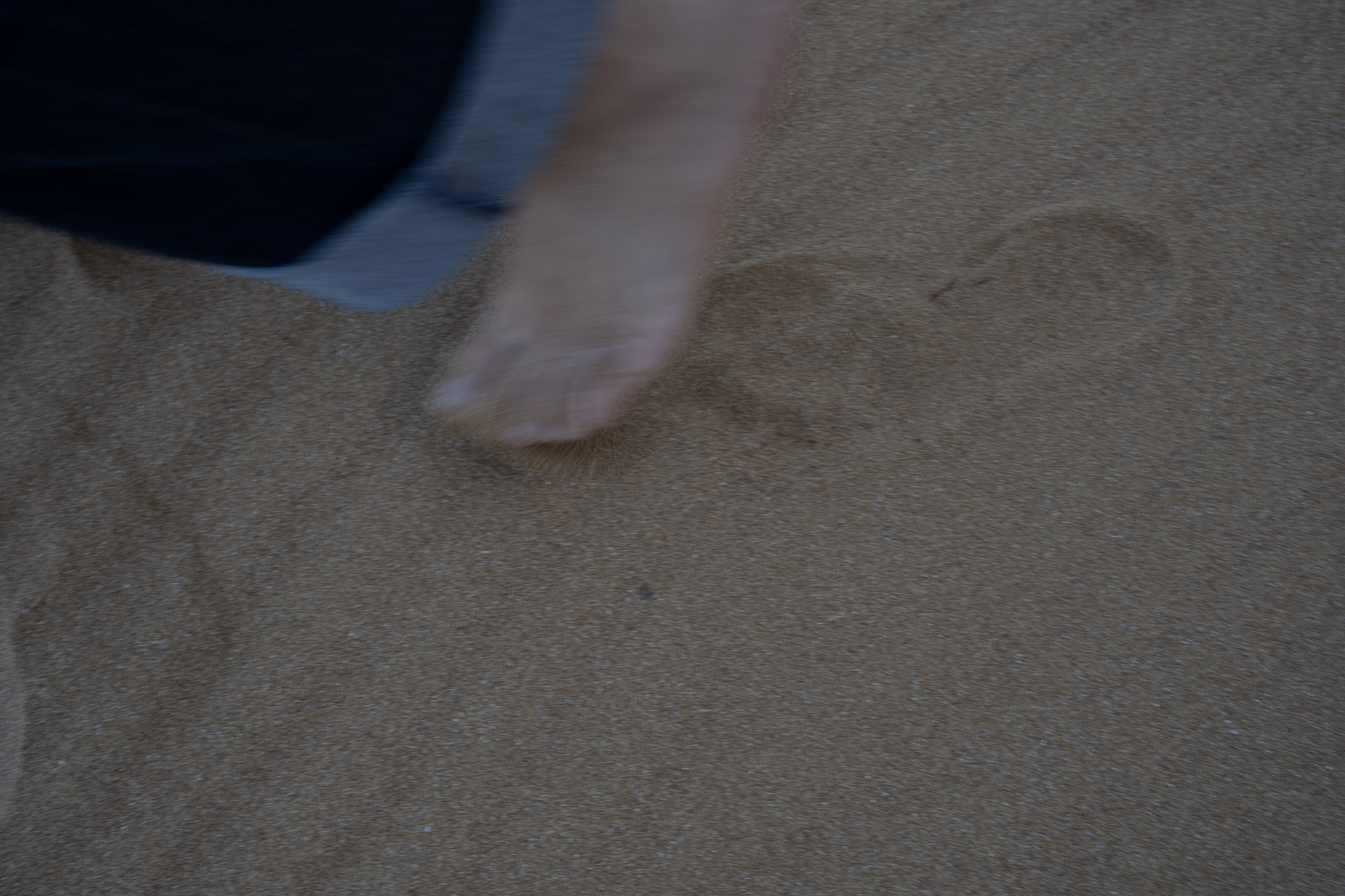 Loiza - foto 49