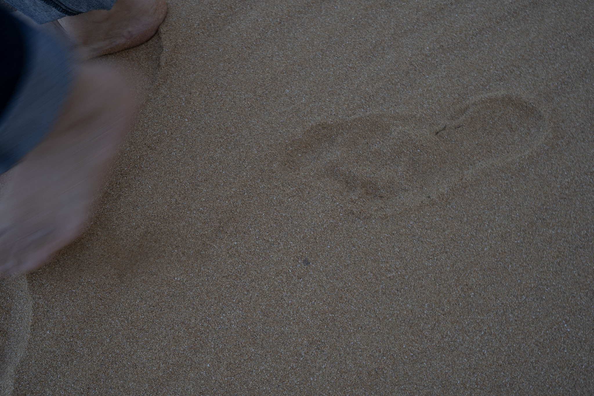 Loiza - foto 50