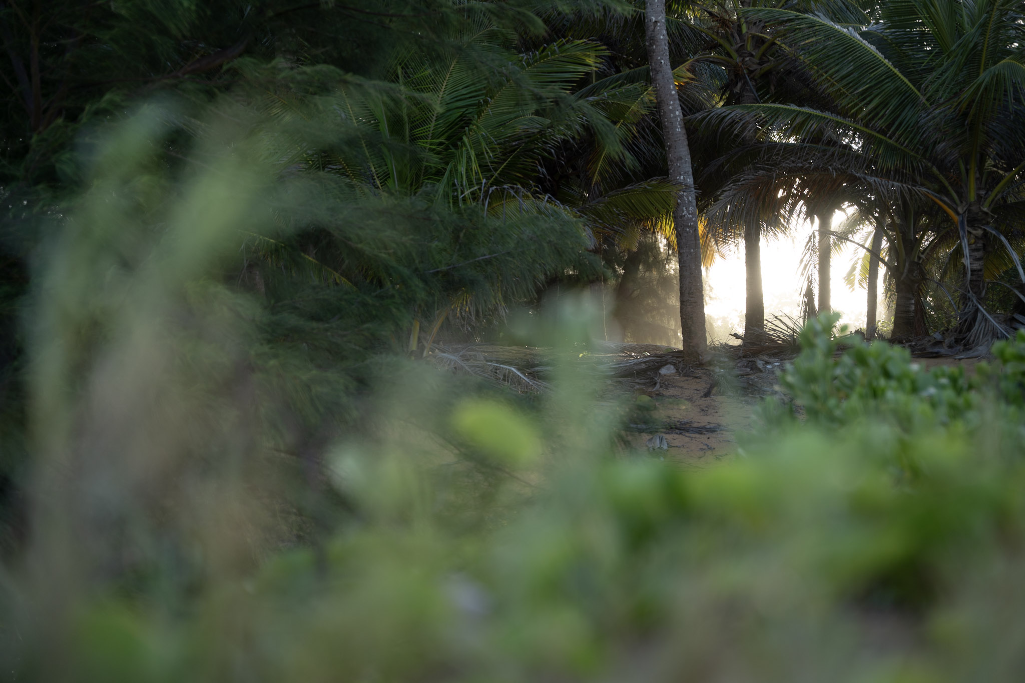 Loiza - foto 61