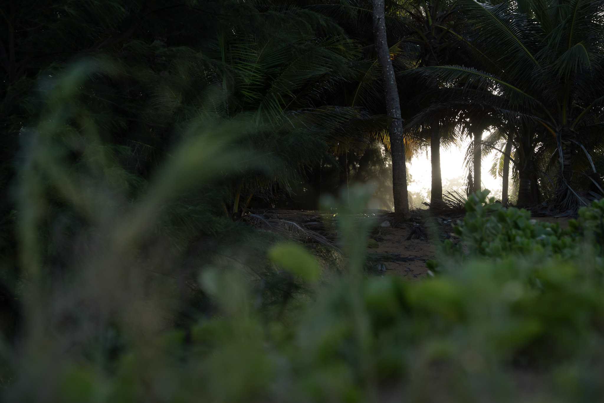 Loiza - foto 65