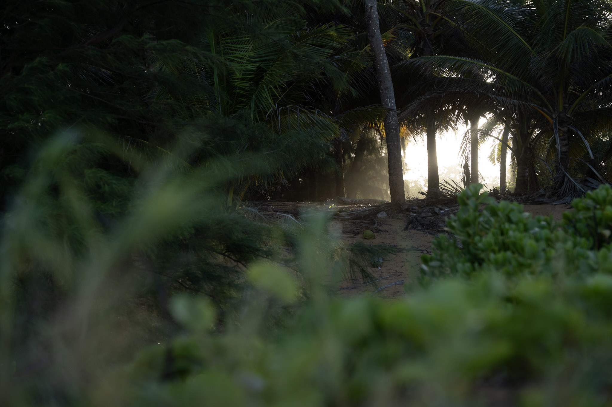 Loiza - foto 66