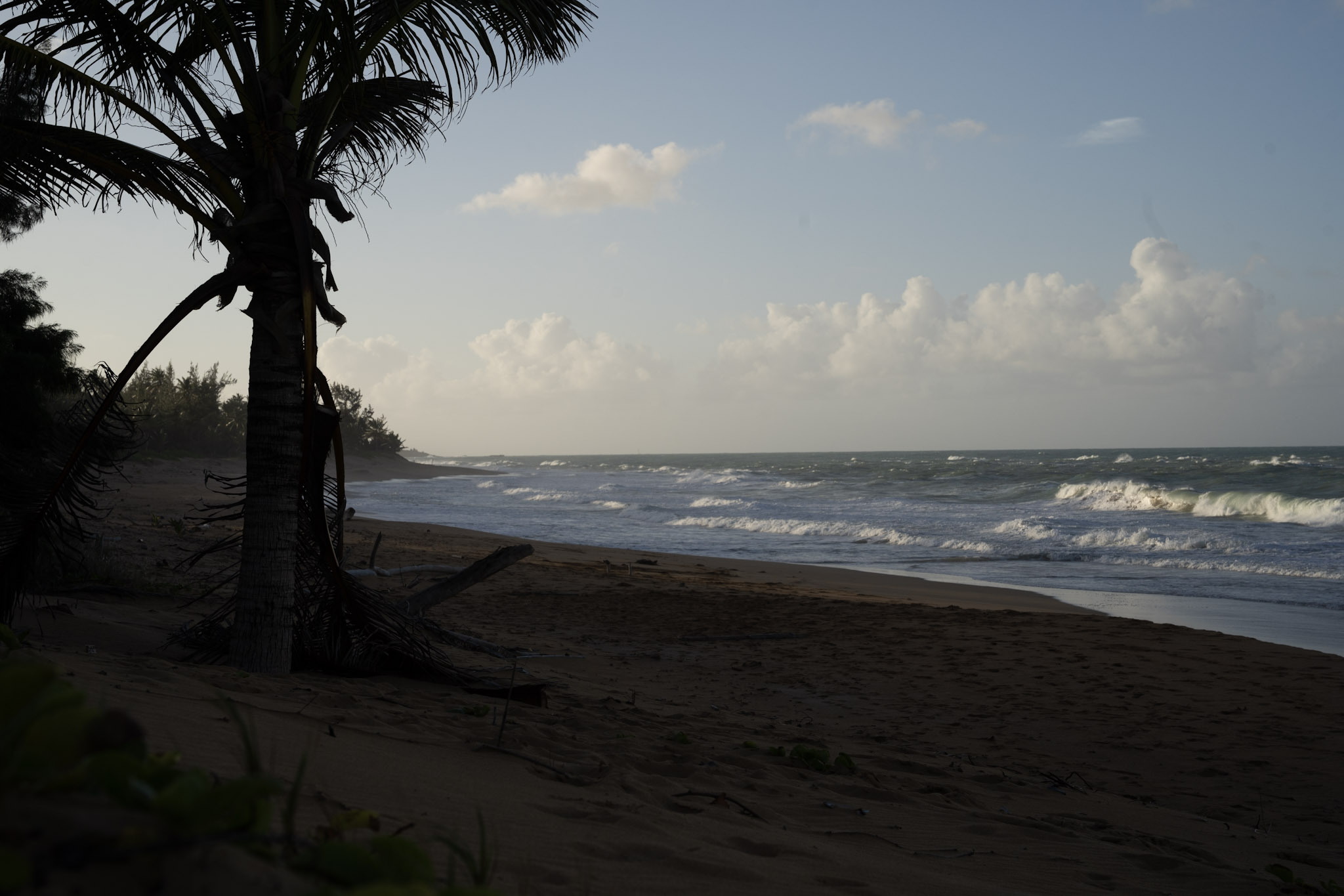 Loiza - foto 71