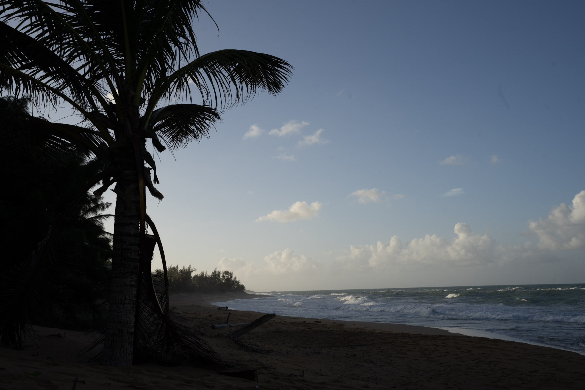 Loiza - foto 72