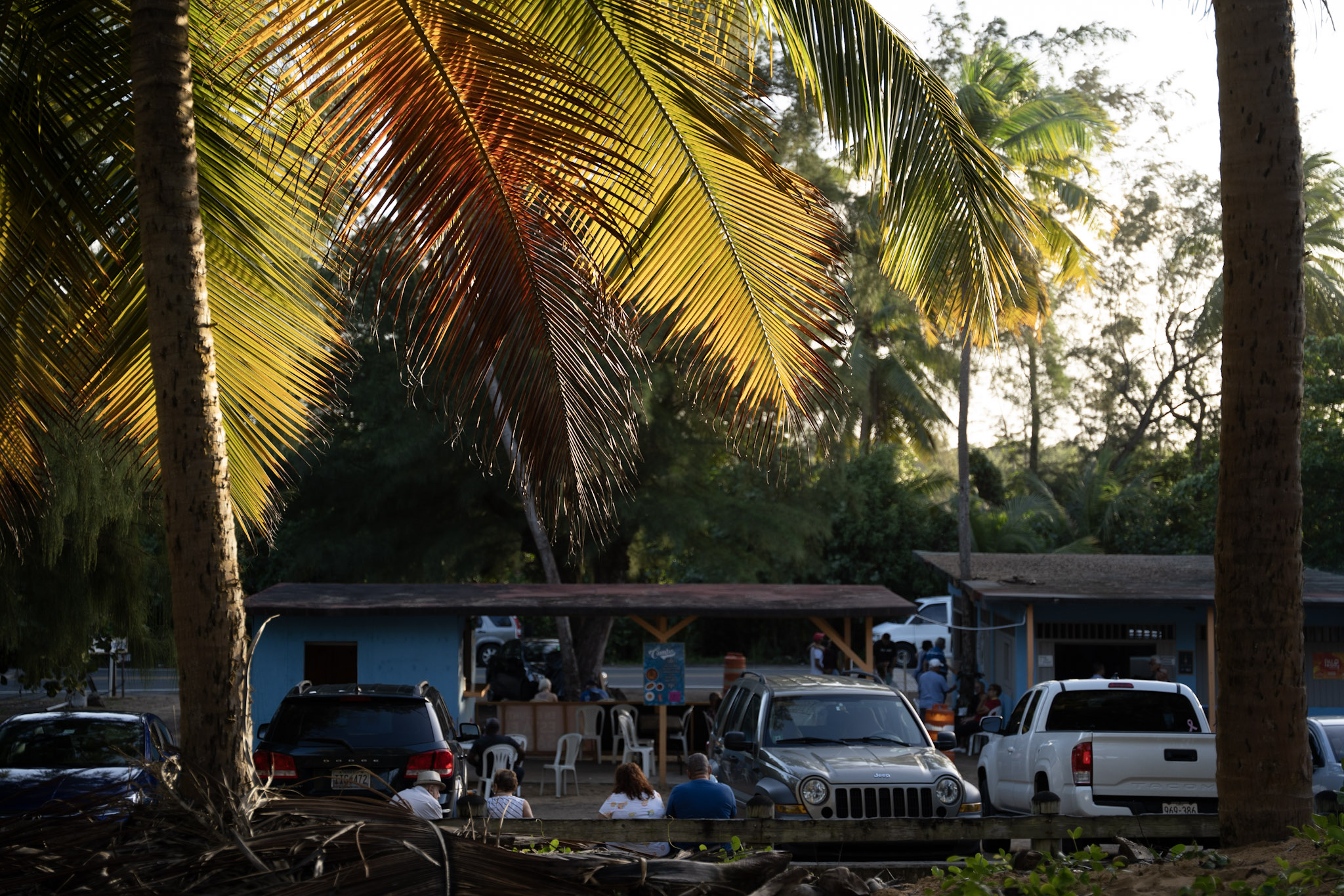 Loiza - foto 74