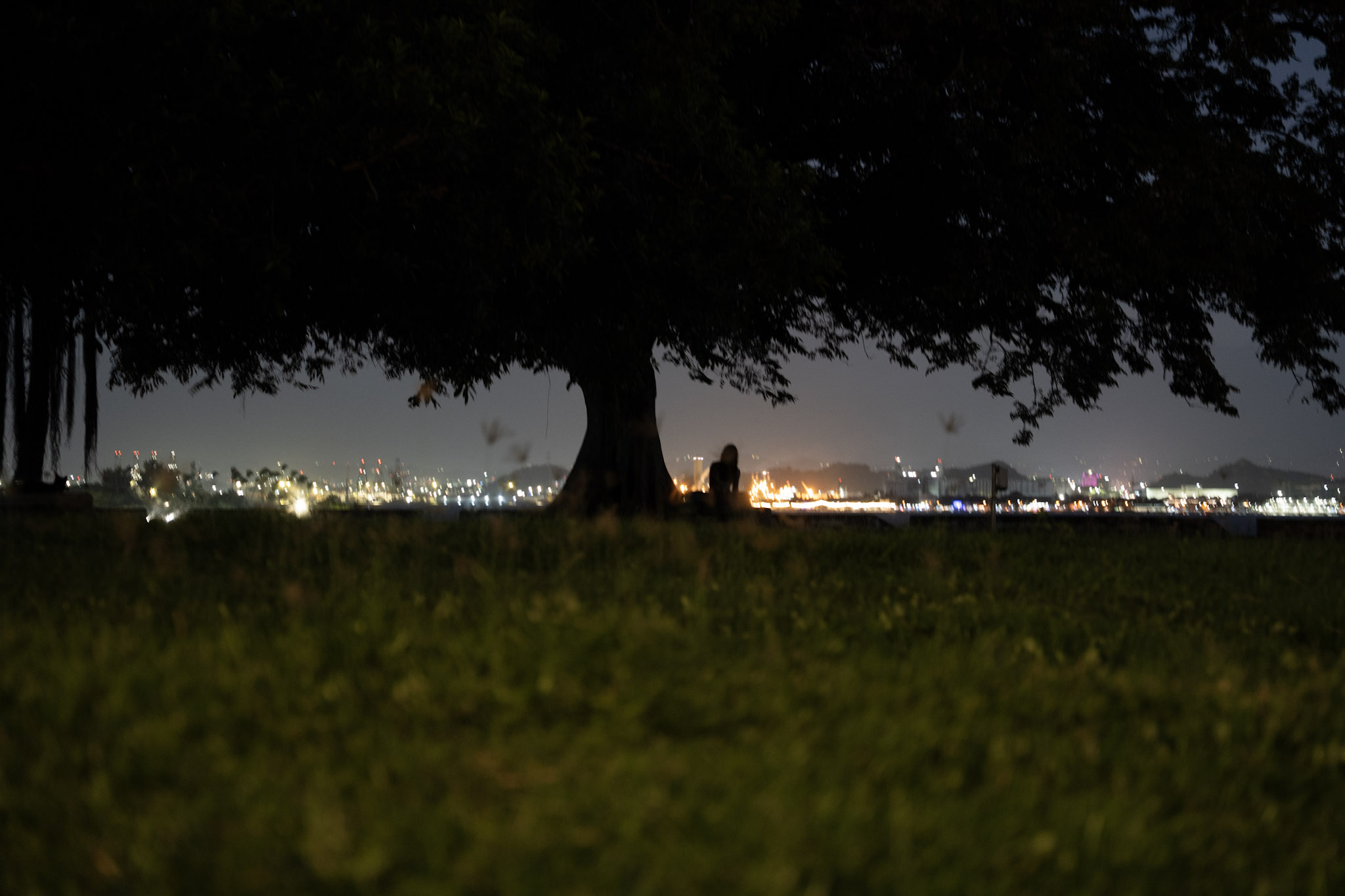 2021-12-19_San_Juan - foto 57