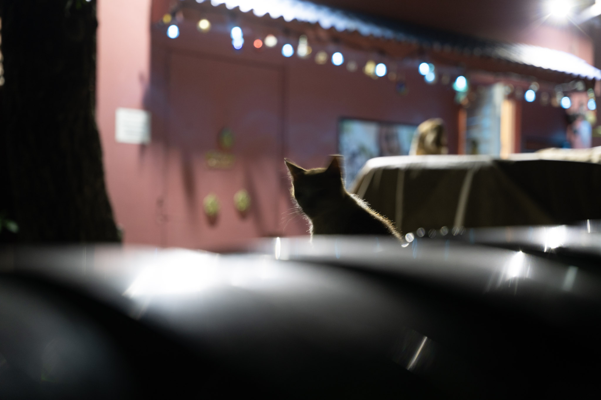 2021-12-19_San_Juan - foto 101