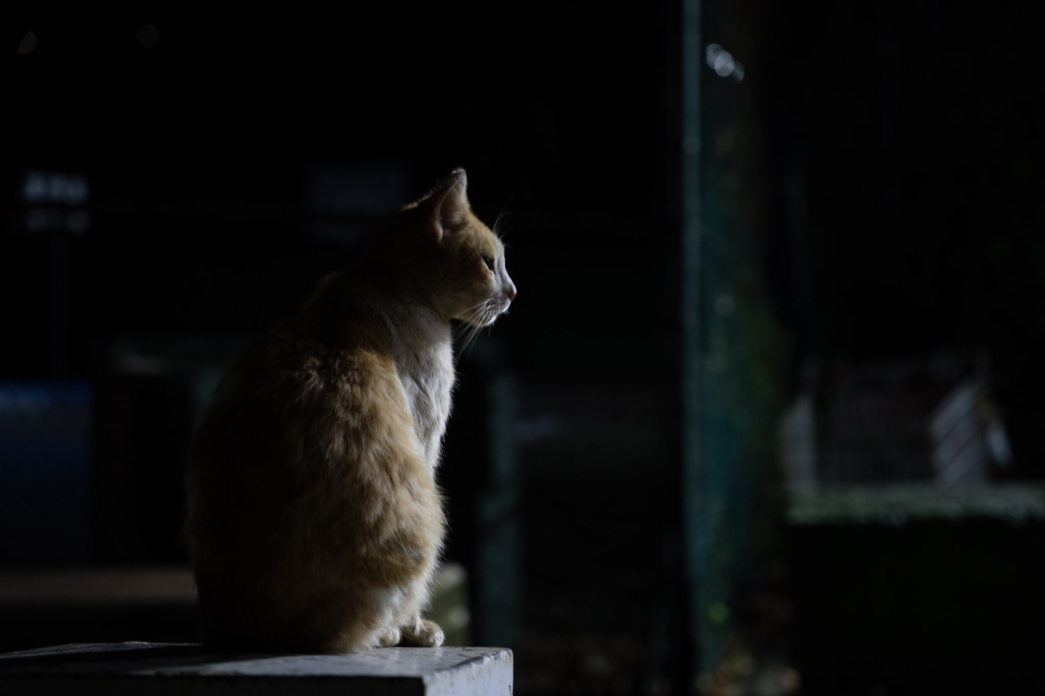 2021-12-19_San_Juan - foto 103