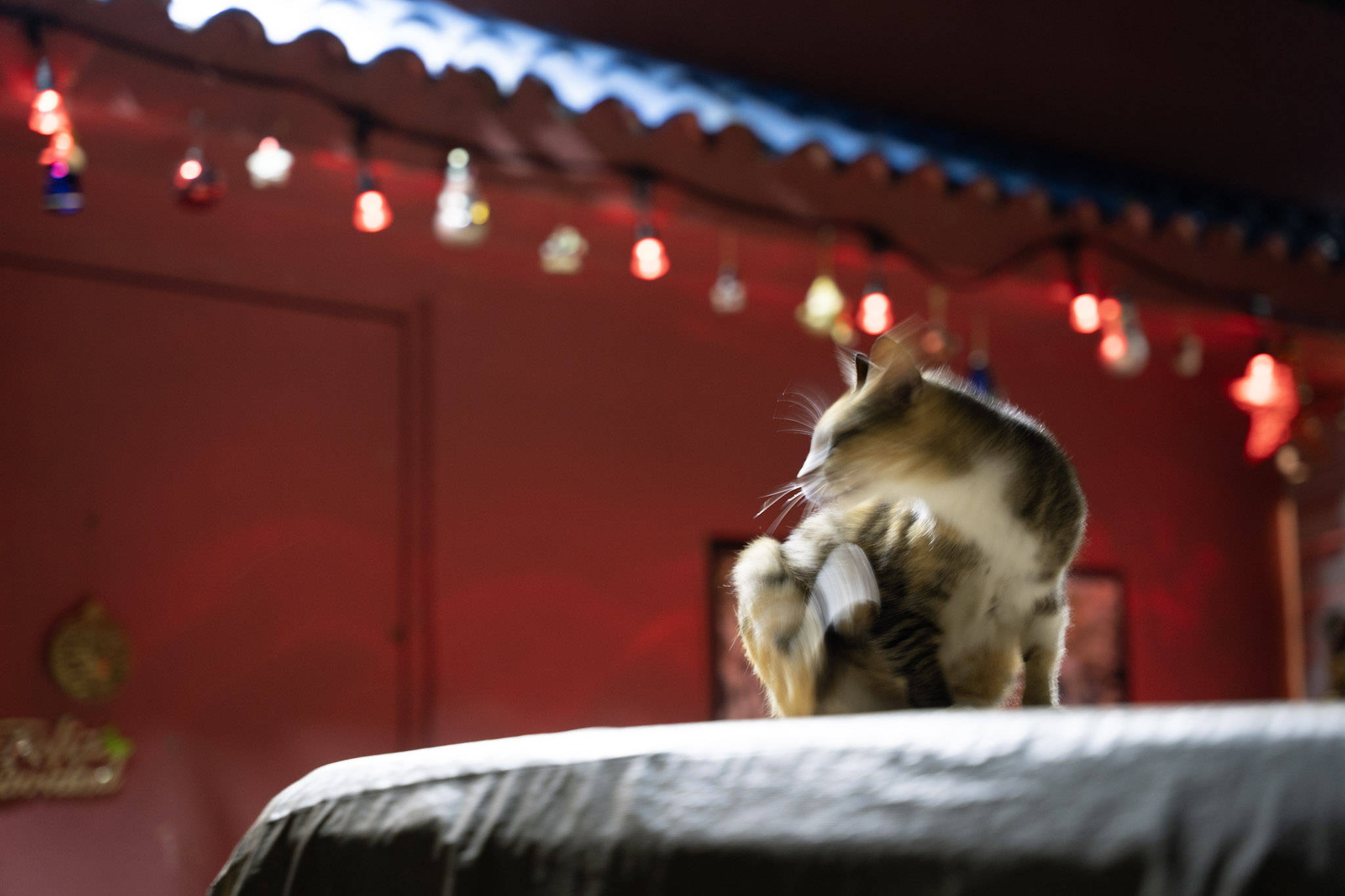 2021-12-19_San_Juan - foto 104