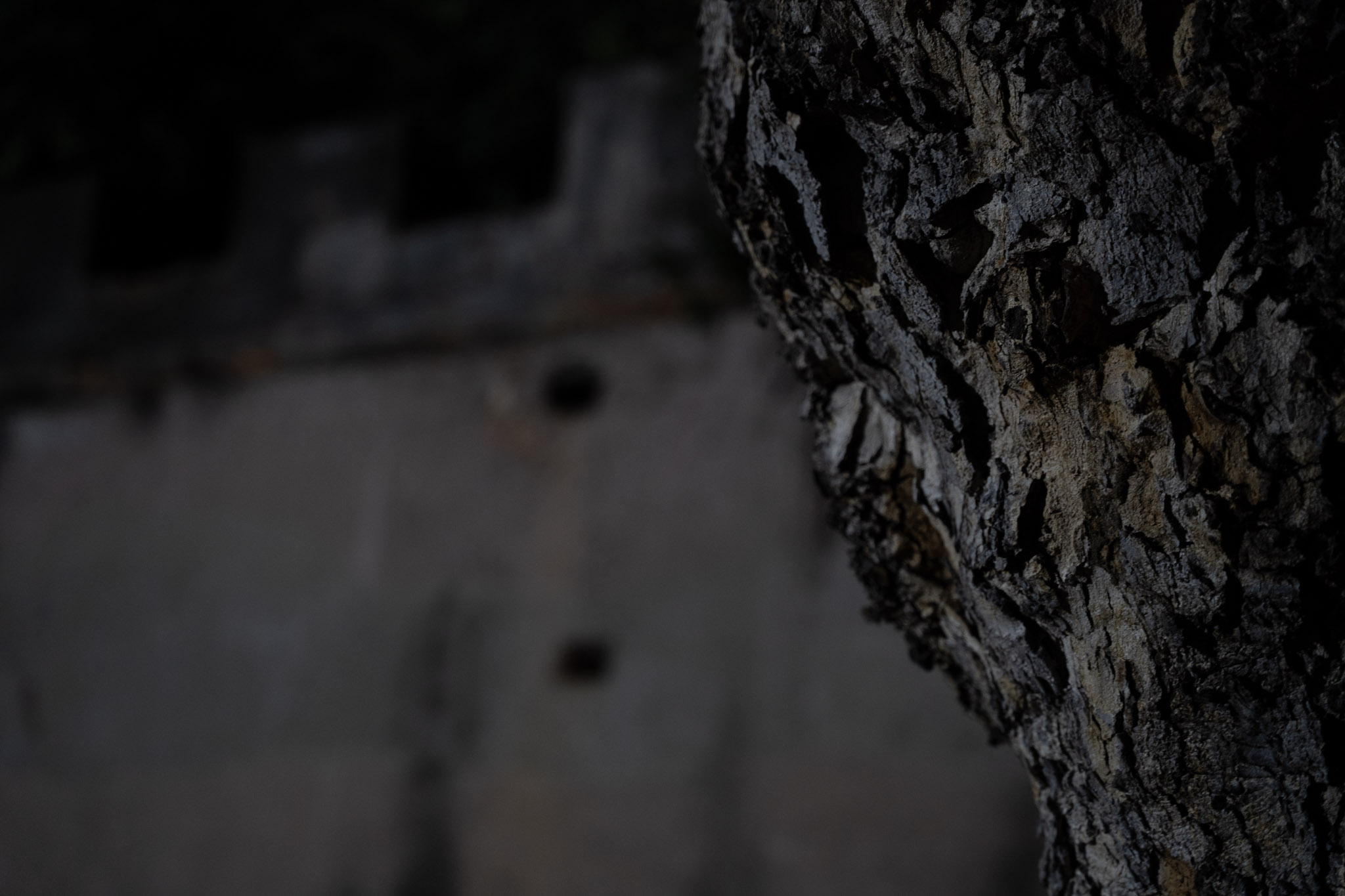 2021-12-19_San_Juan - foto 112