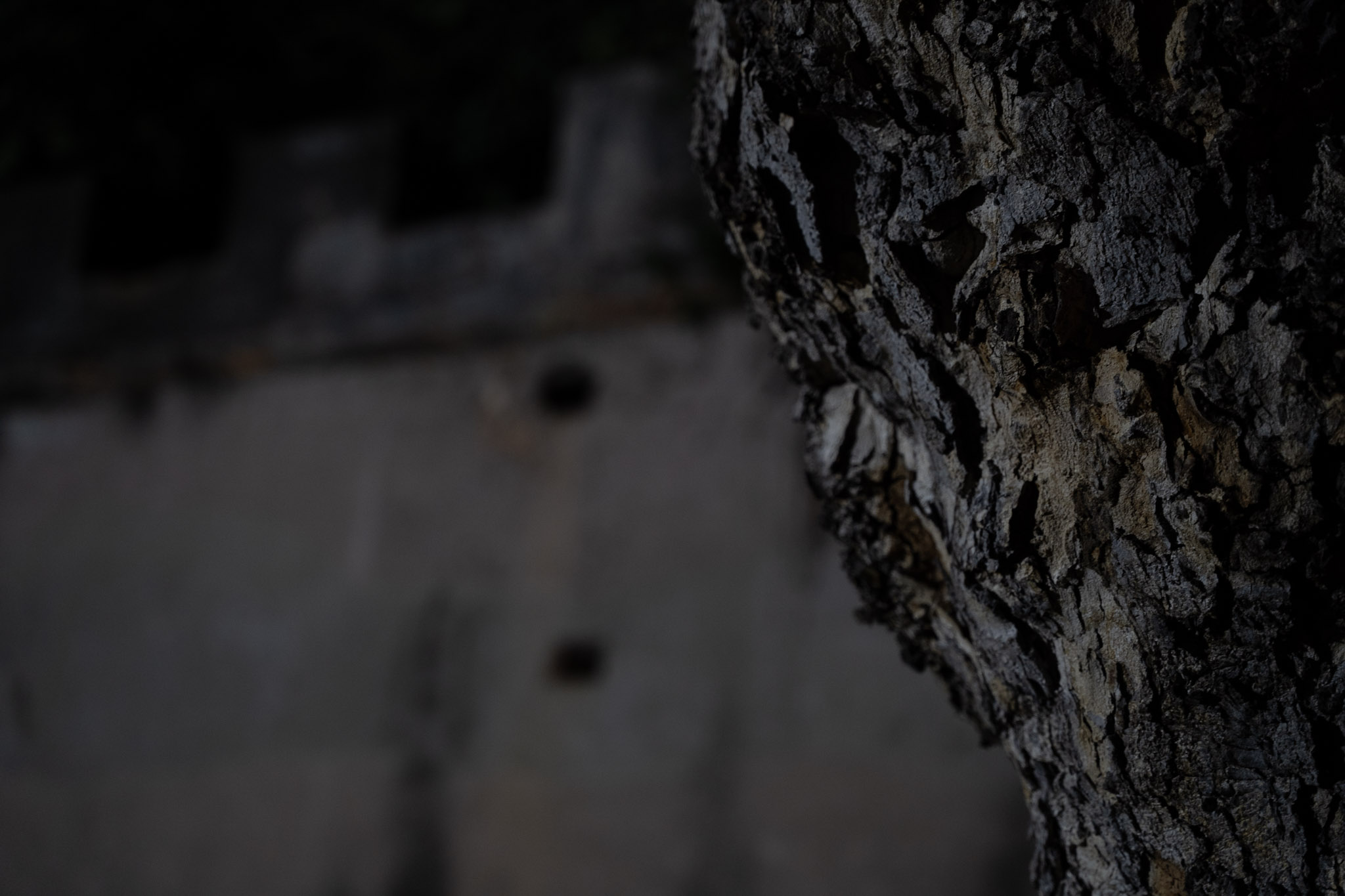 2021-12-19_San_Juan - foto 113