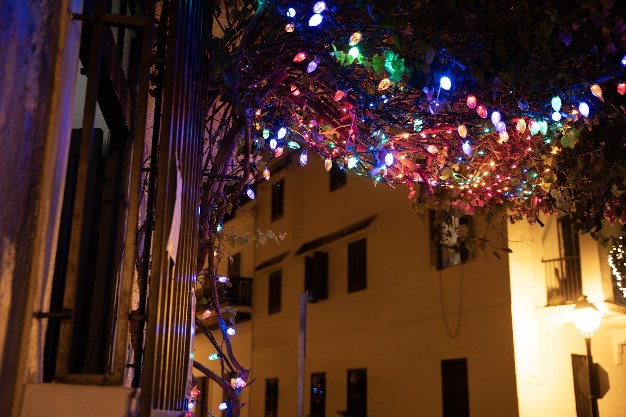 2021-12-19_San_Juan - foto 118