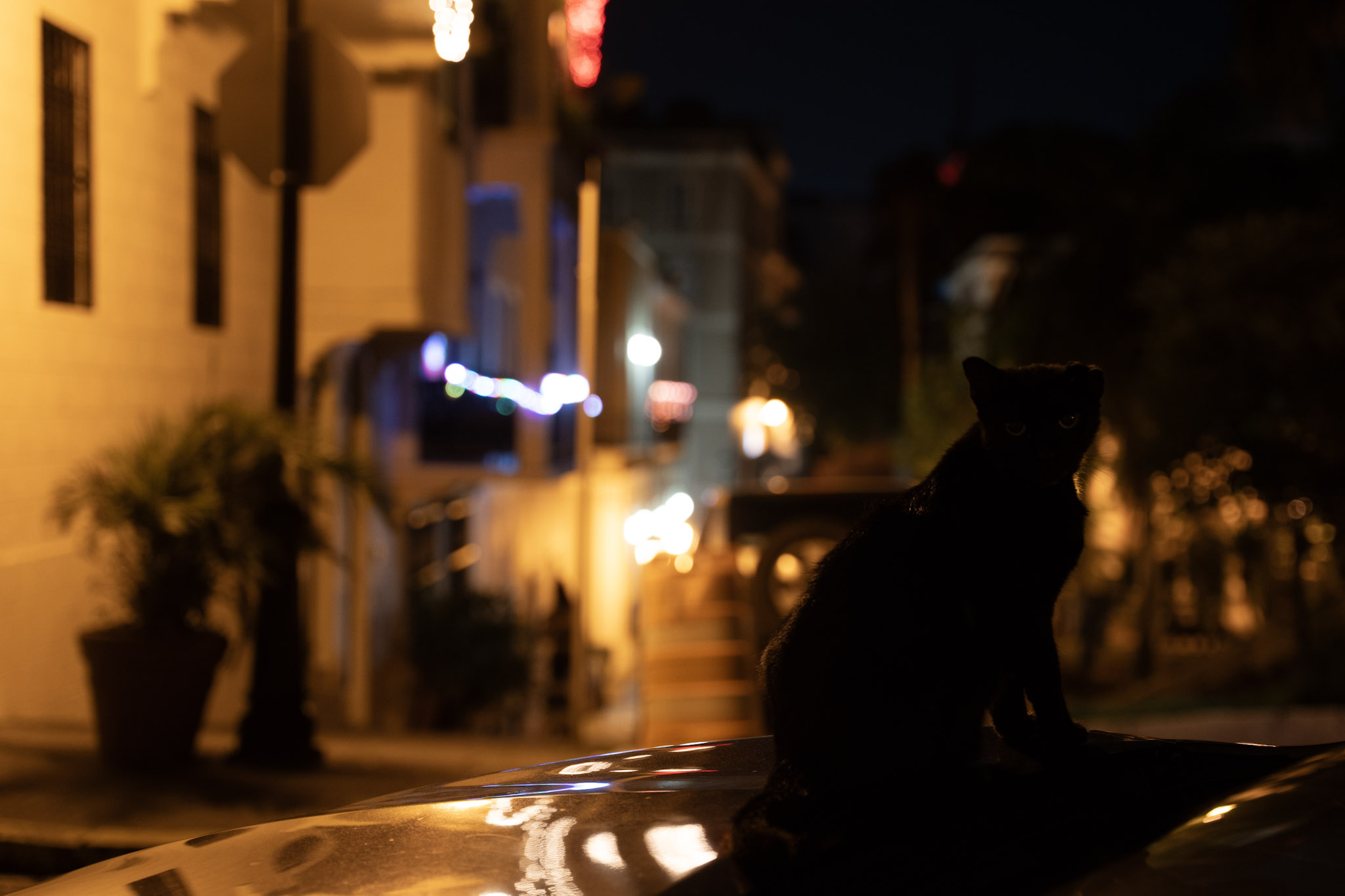 2021-12-19_San_Juan - foto 121