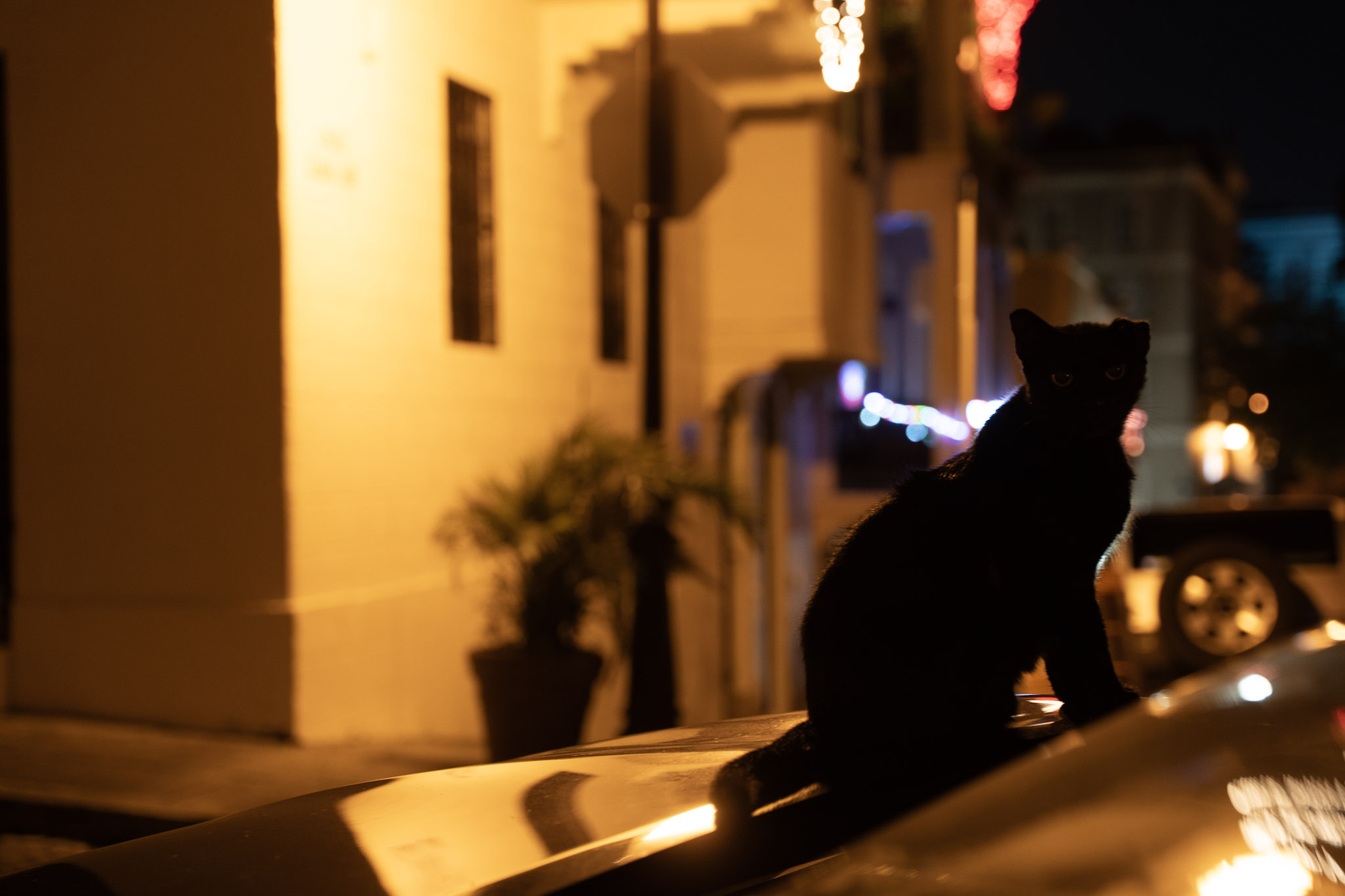 2021-12-19_San_Juan - foto 123