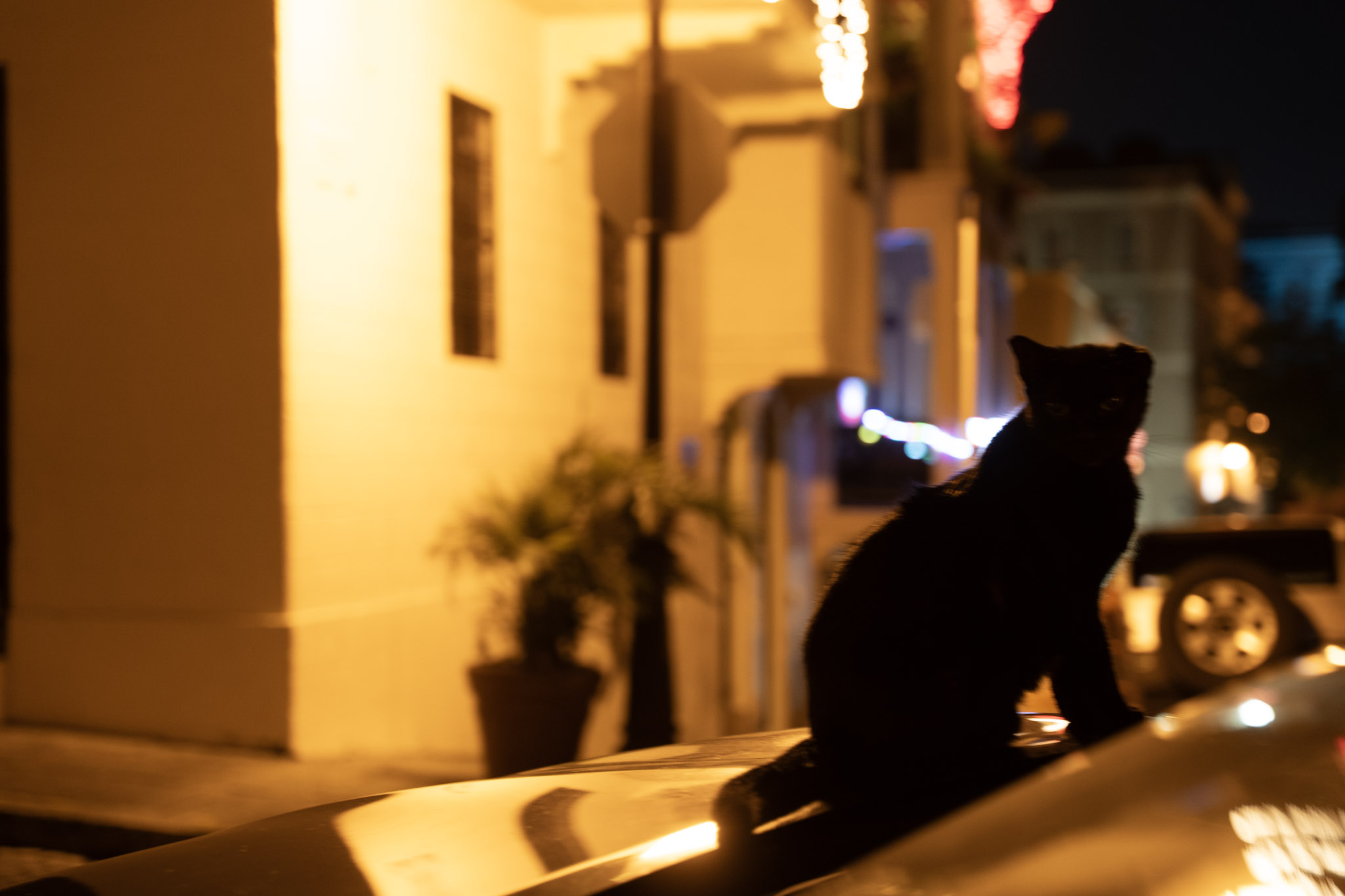 2021-12-19_San_Juan - foto 125