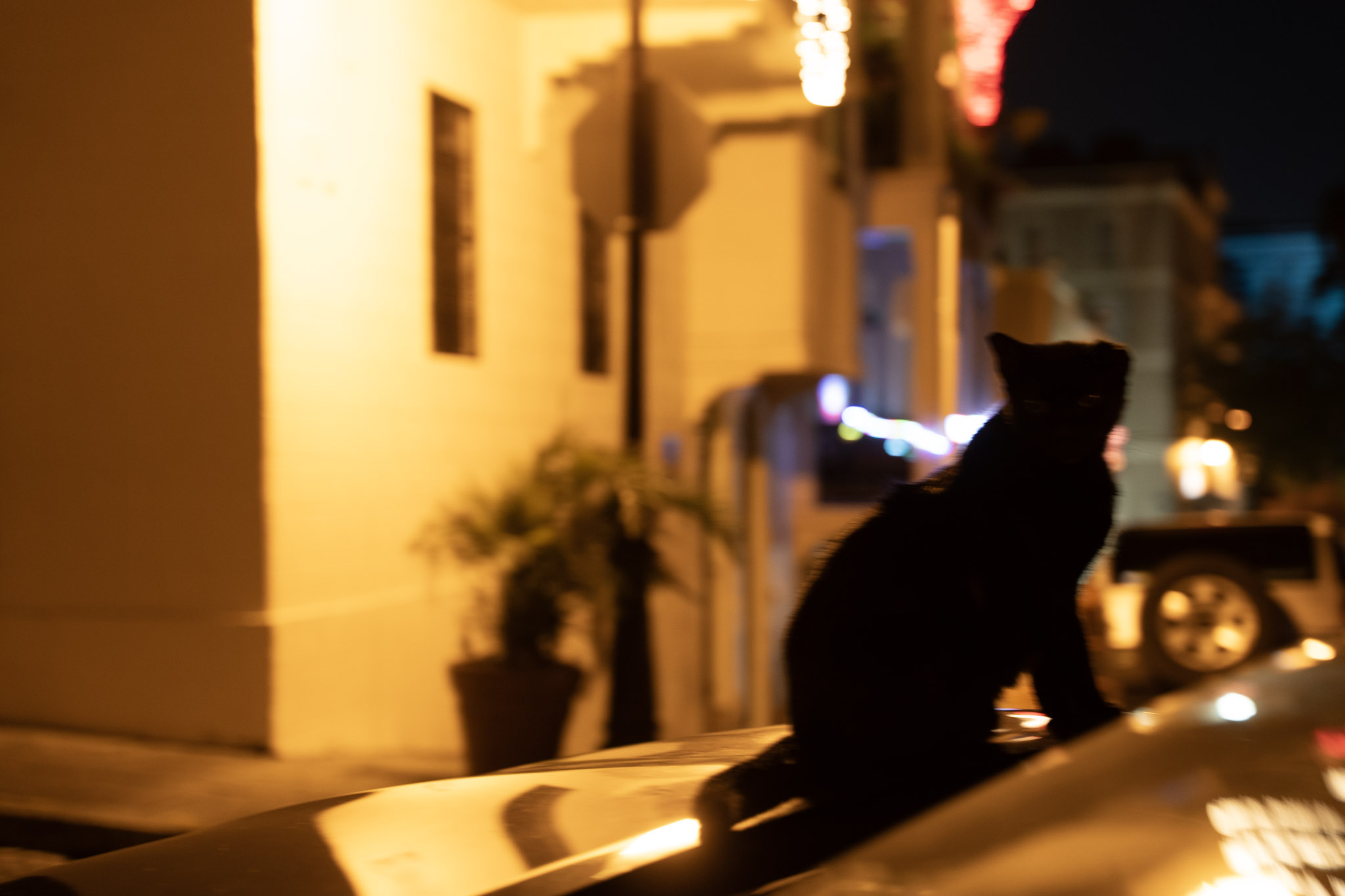 2021-12-19_San_Juan - foto 126