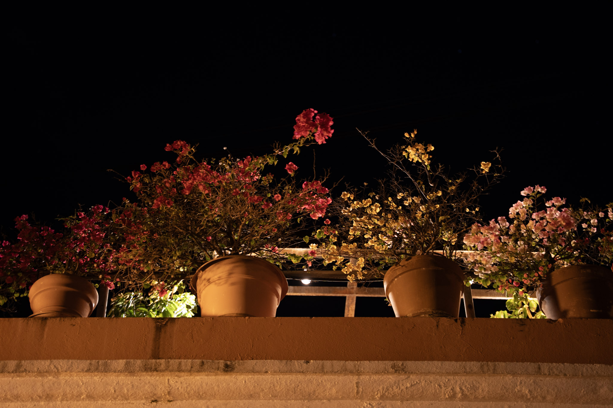 2021-12-19_San_Juan - foto 134