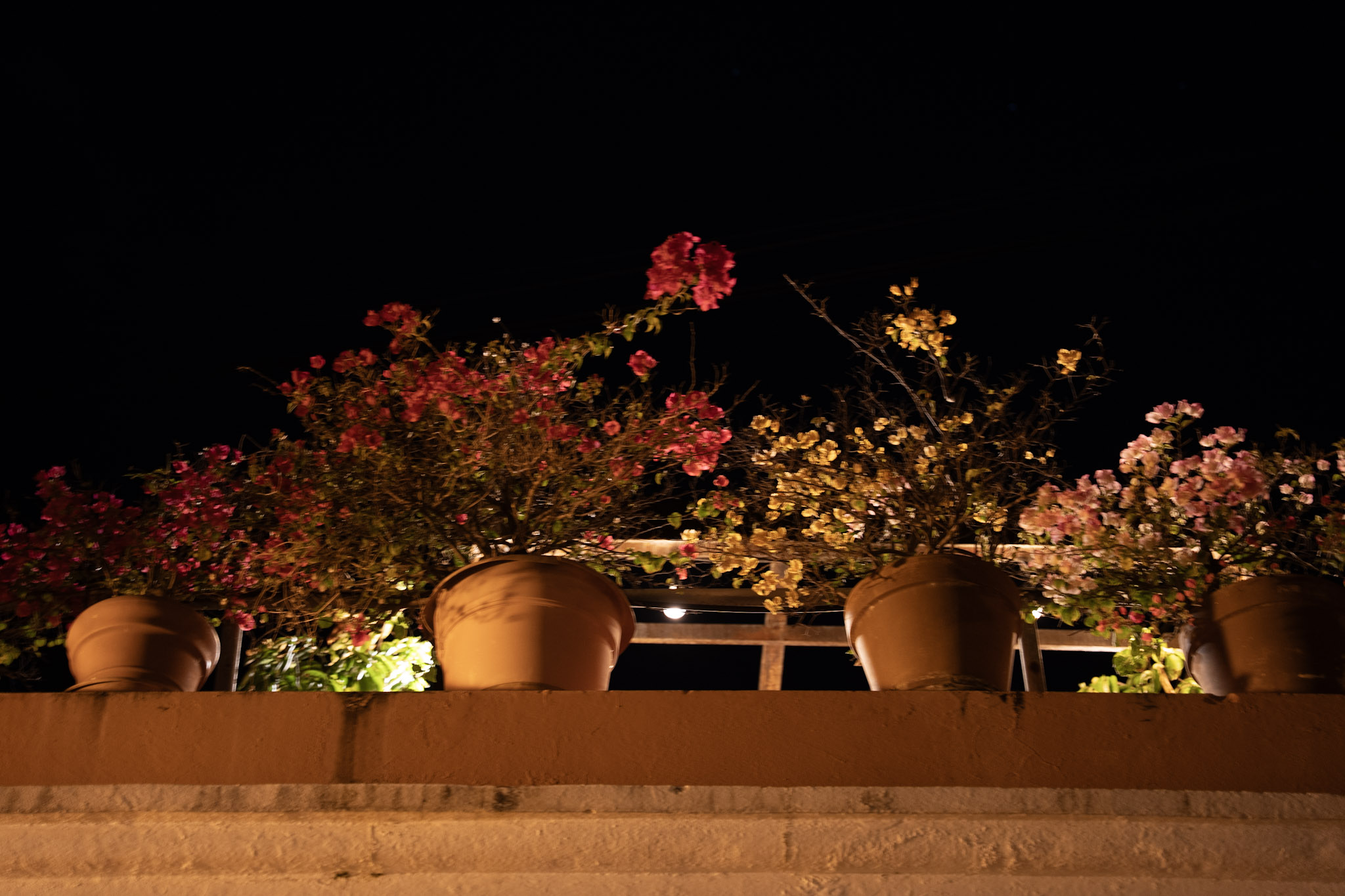 2021-12-19_San_Juan - foto 135