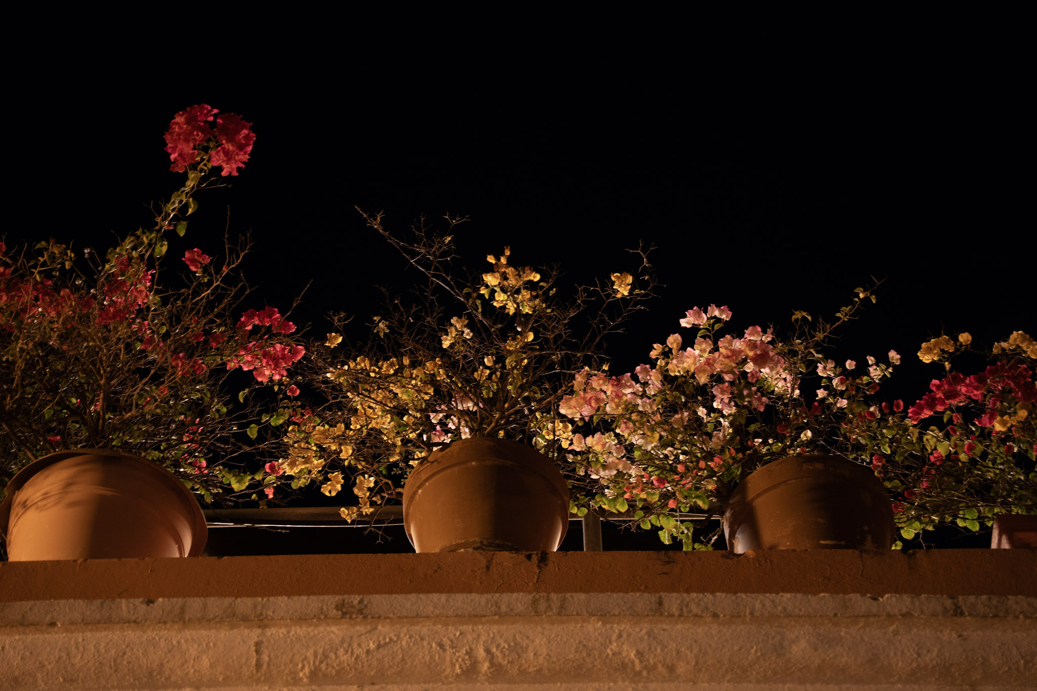 2021-12-19_San_Juan - foto 136