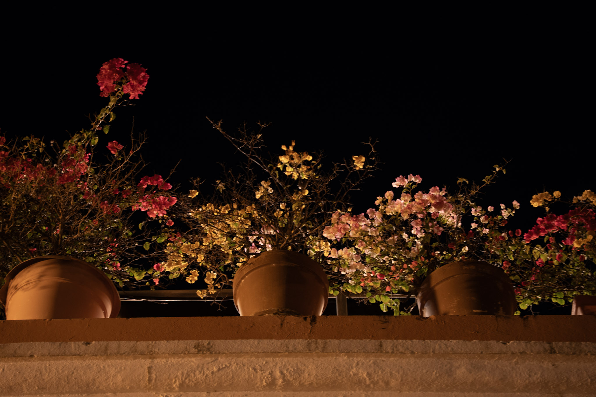 2021-12-19_San_Juan - foto 137