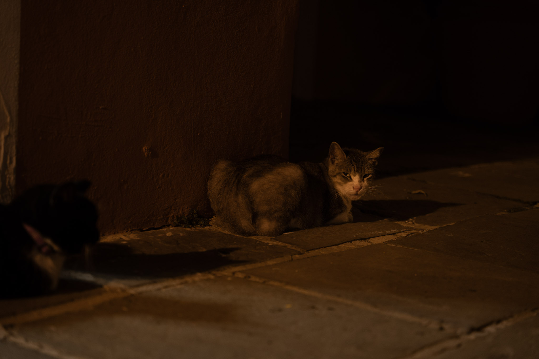 2021-12-19_San_Juan - foto 138