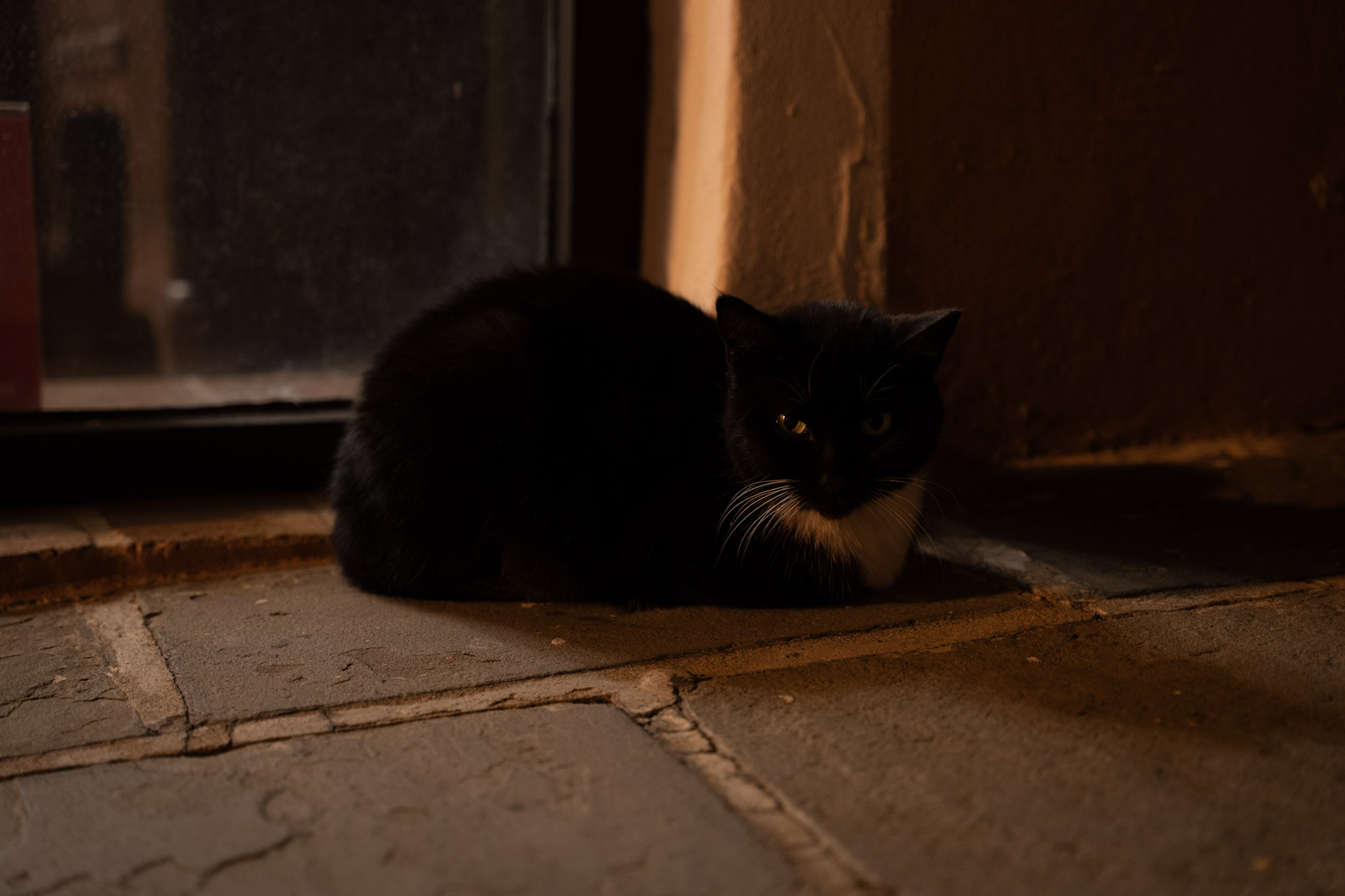 2021-12-19_San_Juan - foto 140