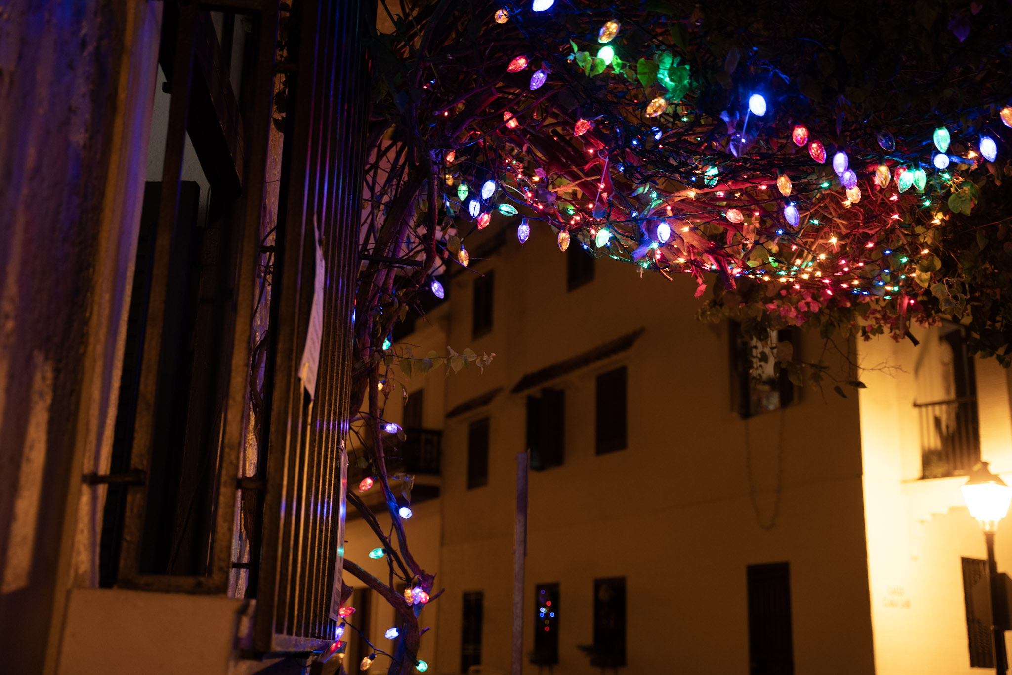 San Juan - foto 119