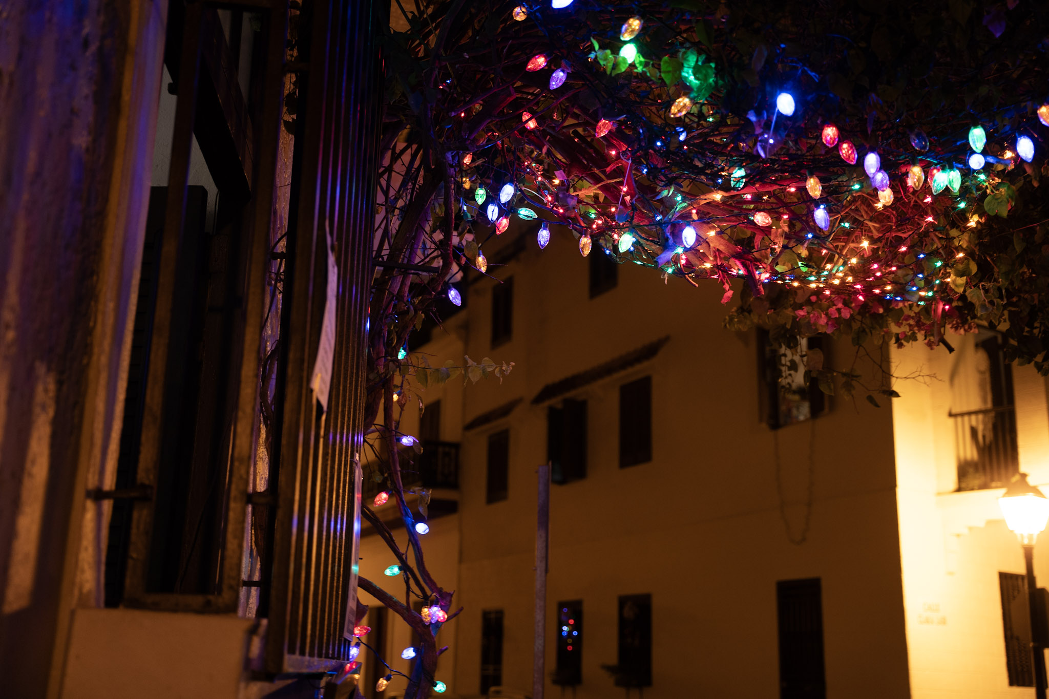 San Juan - foto 120