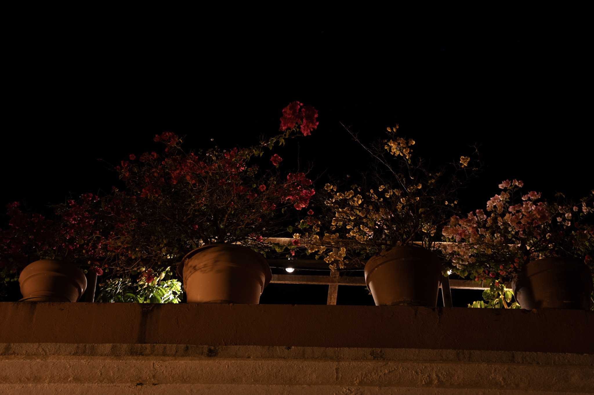 San Juan - foto 133